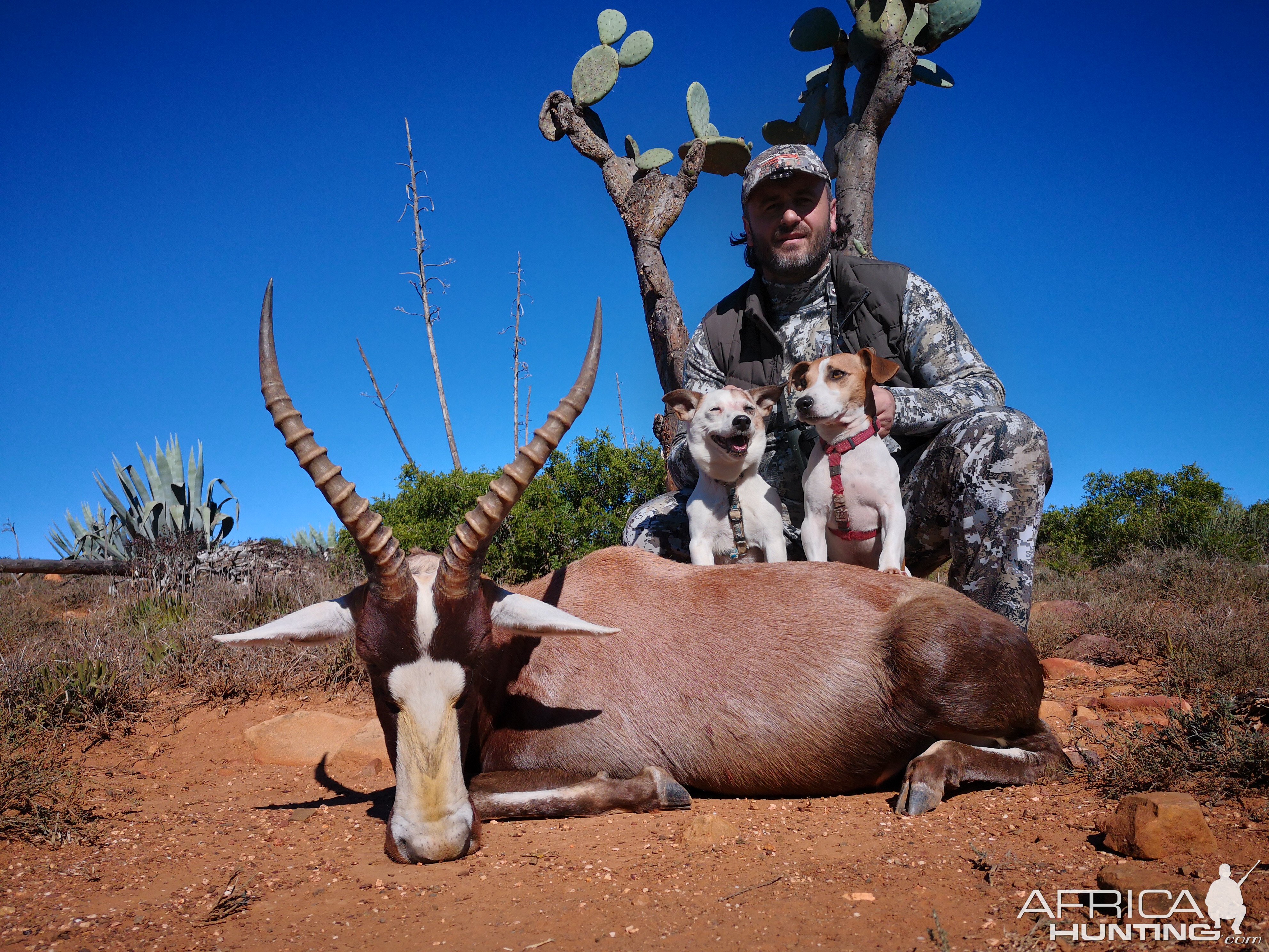 Blesbok Hunting South Africa