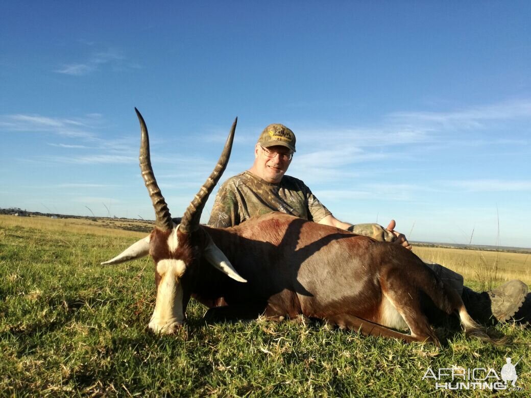 Blesbok Hunting South Africa