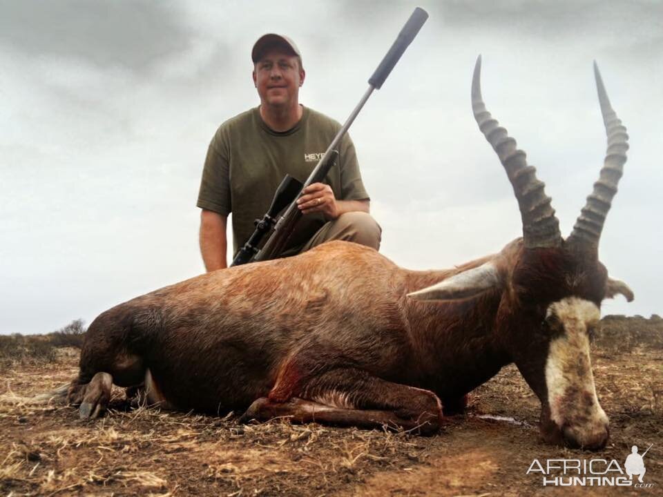 Blesbok Hunting South Africa