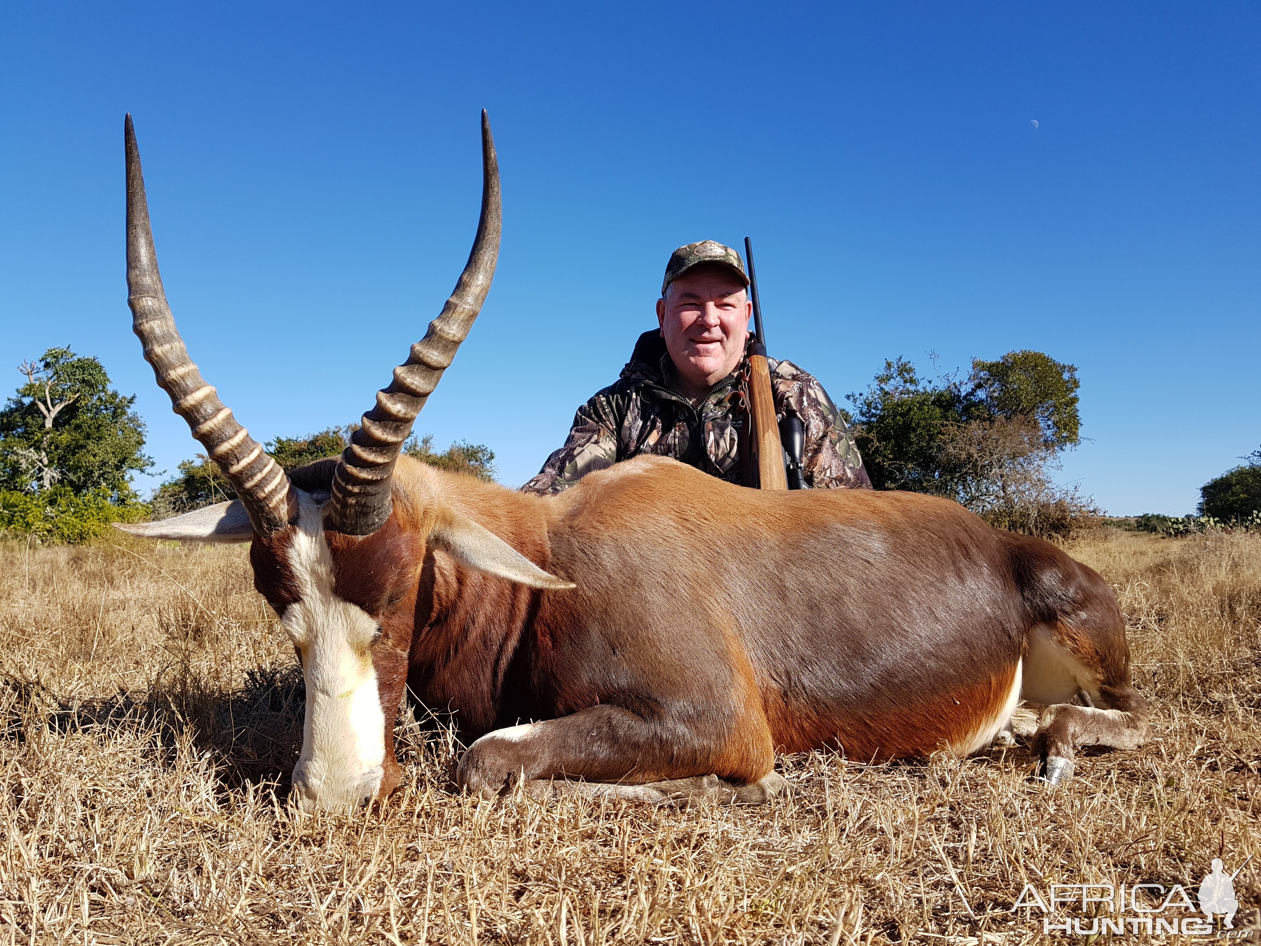 Blesbok Hunting South Africa