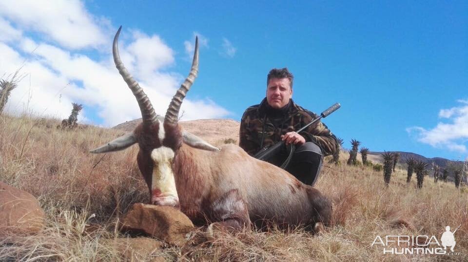 Blesbok Hunting South Africa