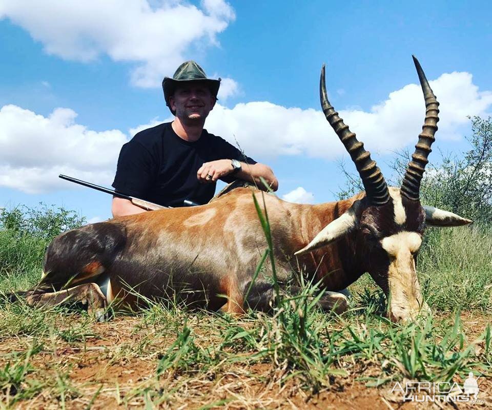 Blesbok Hunting South Africa