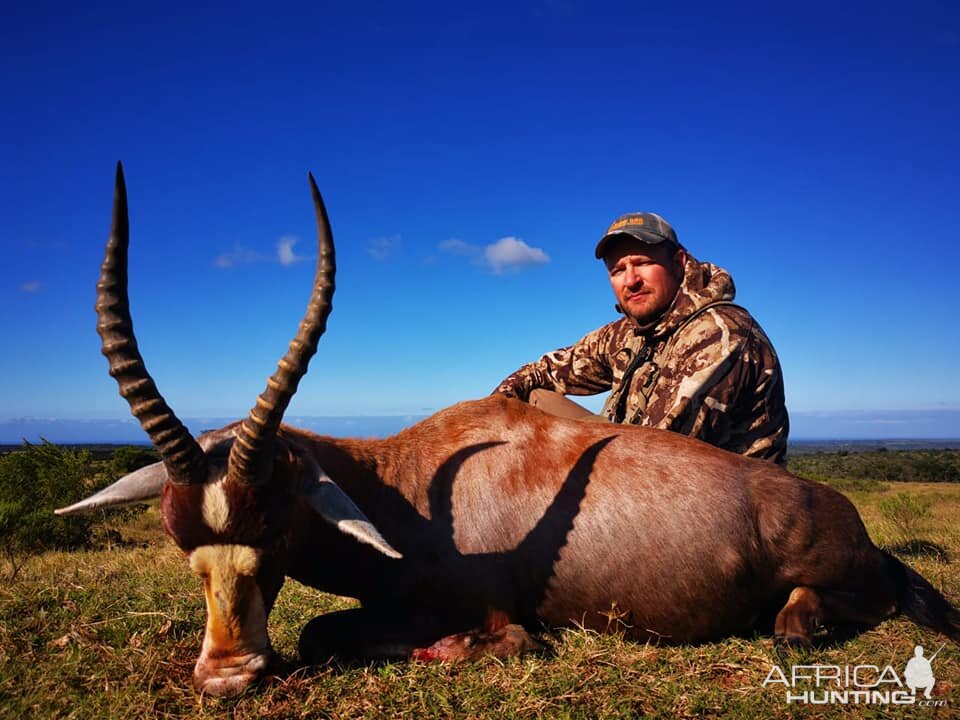 Blesbok Hunting South Africa