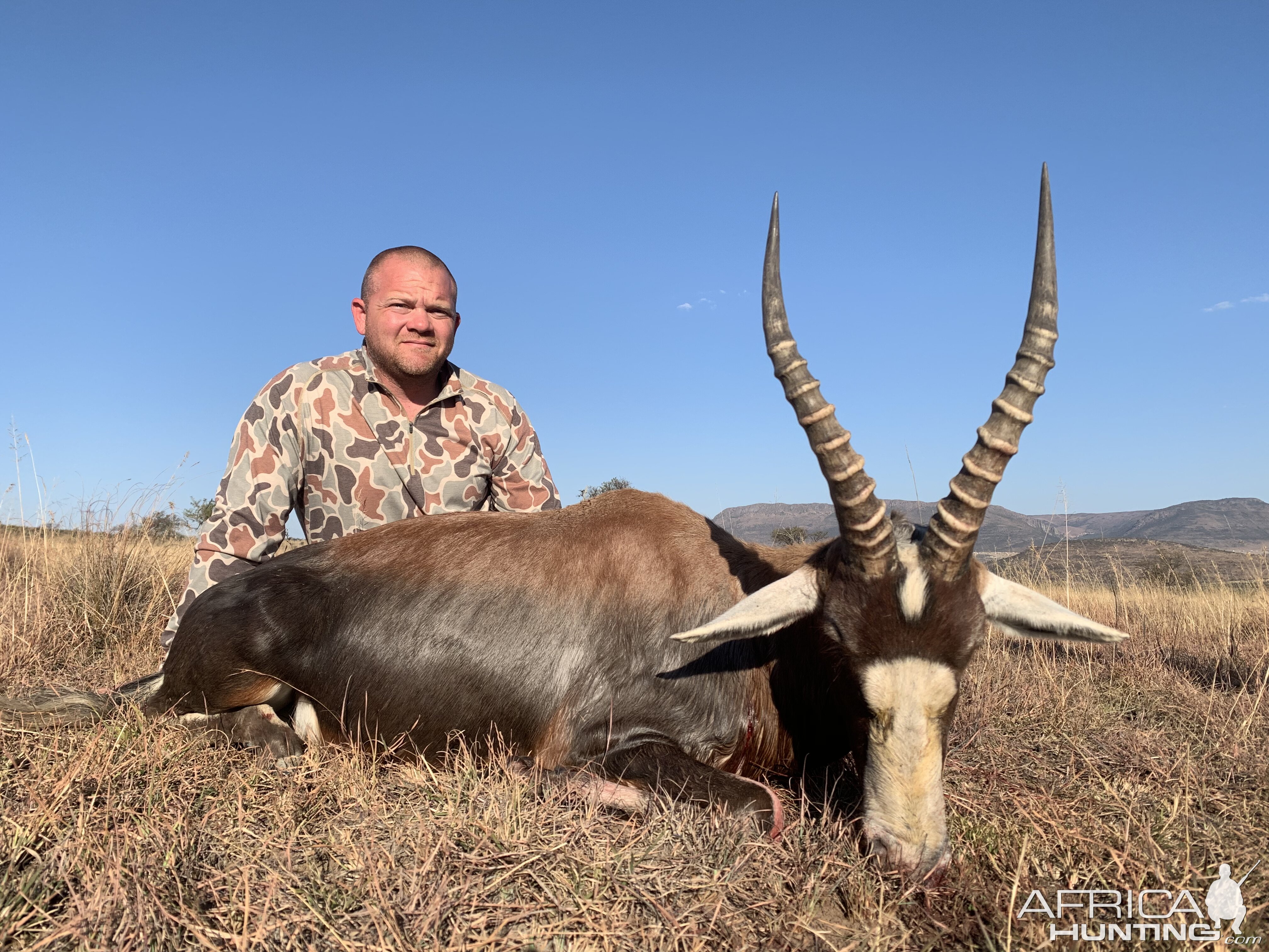 Blesbok Hunting South Africa