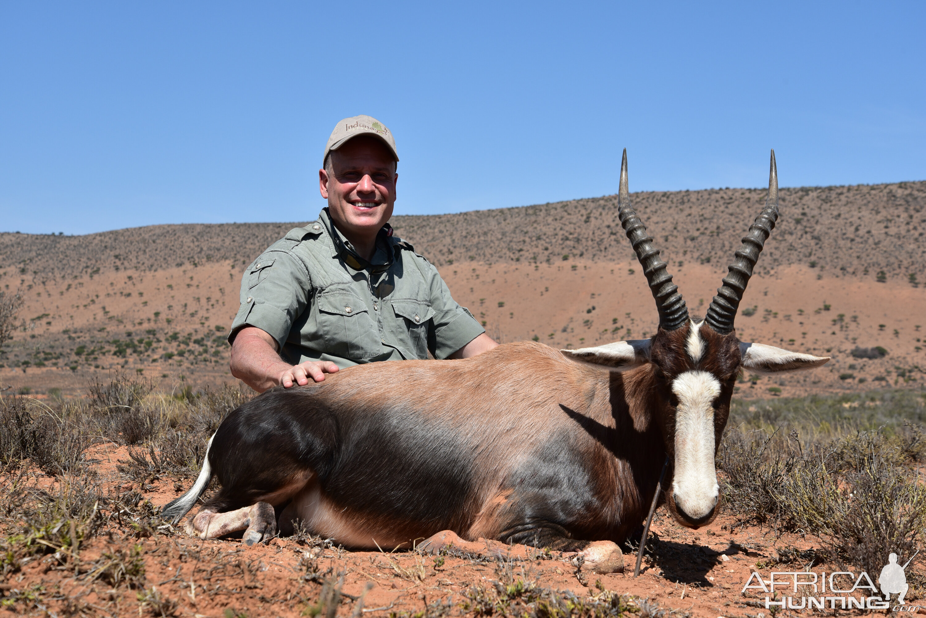 Blesbok Hunting South Africa