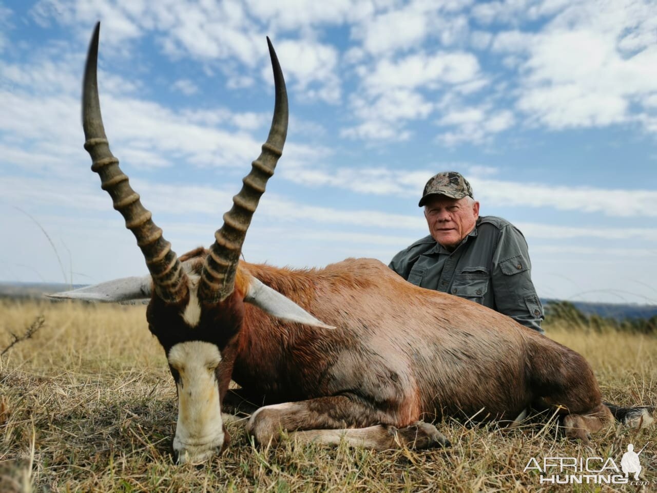 Blesbok Hunting South Africa