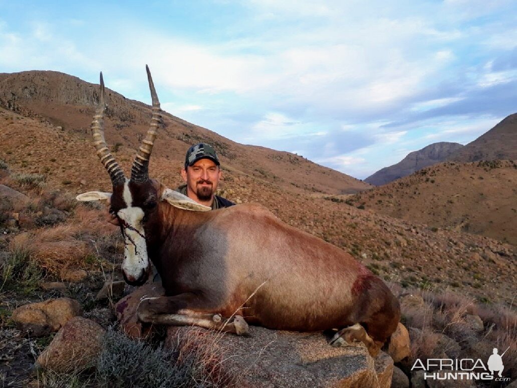 Blesbok Hunting South Africa