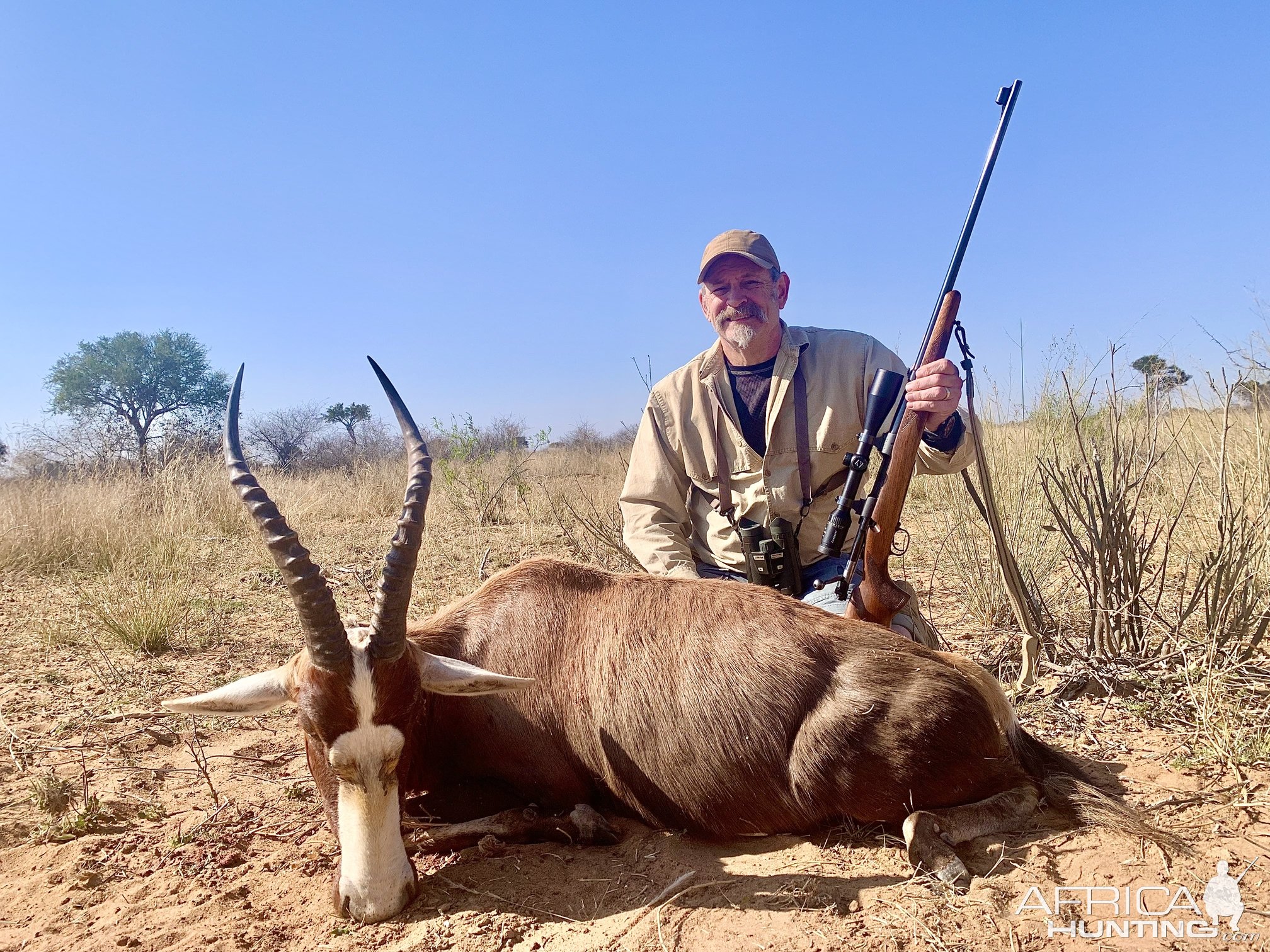 Blesbok Hunting