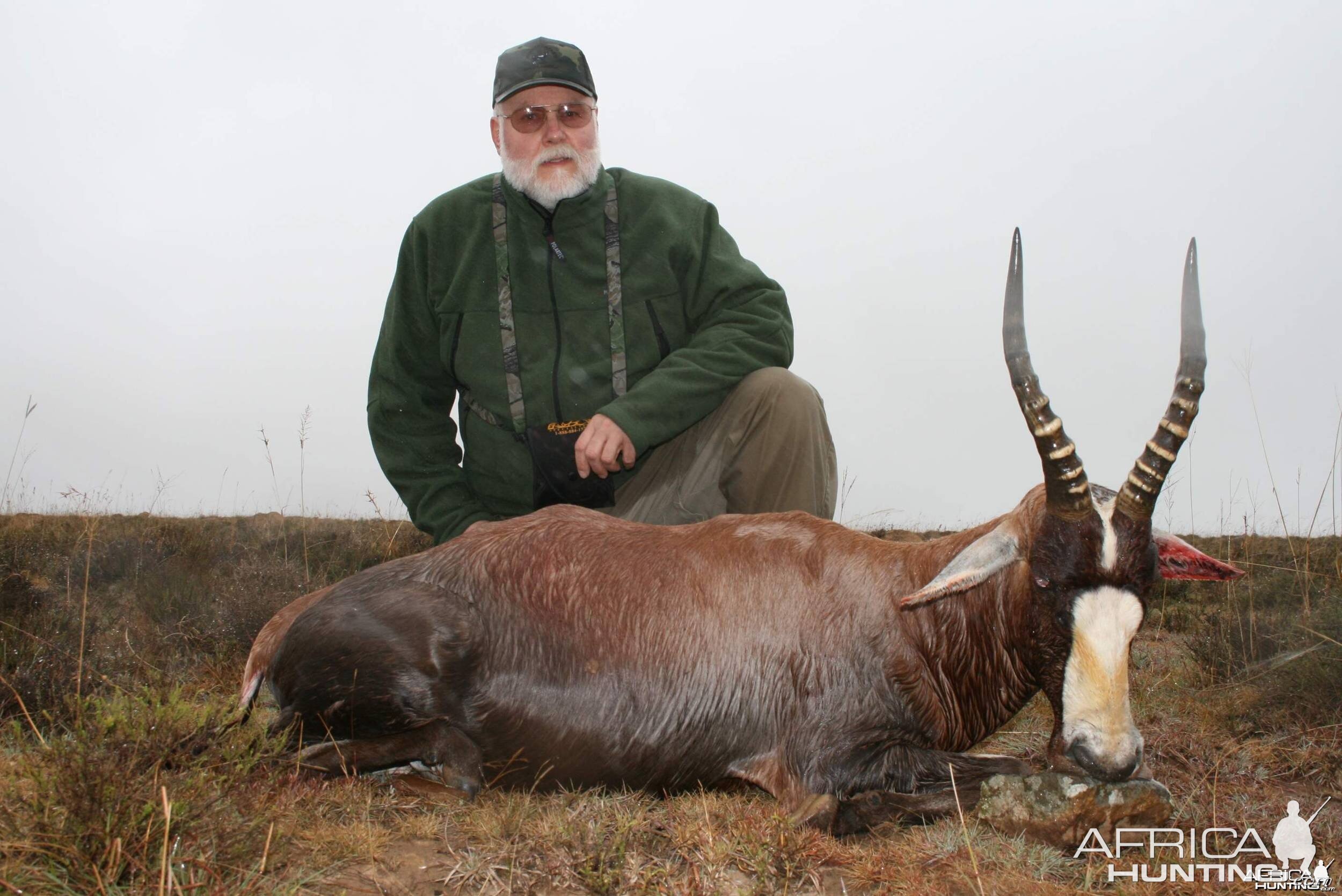 Blesbok in the pouring rain.