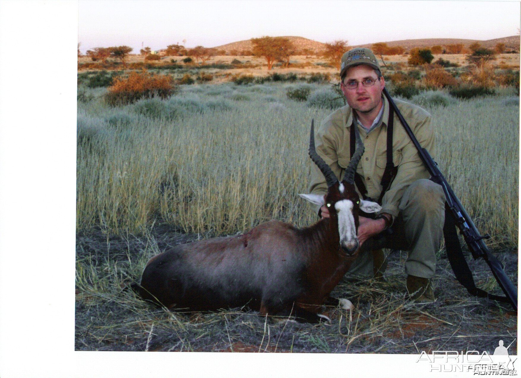 Blesbok Namibia