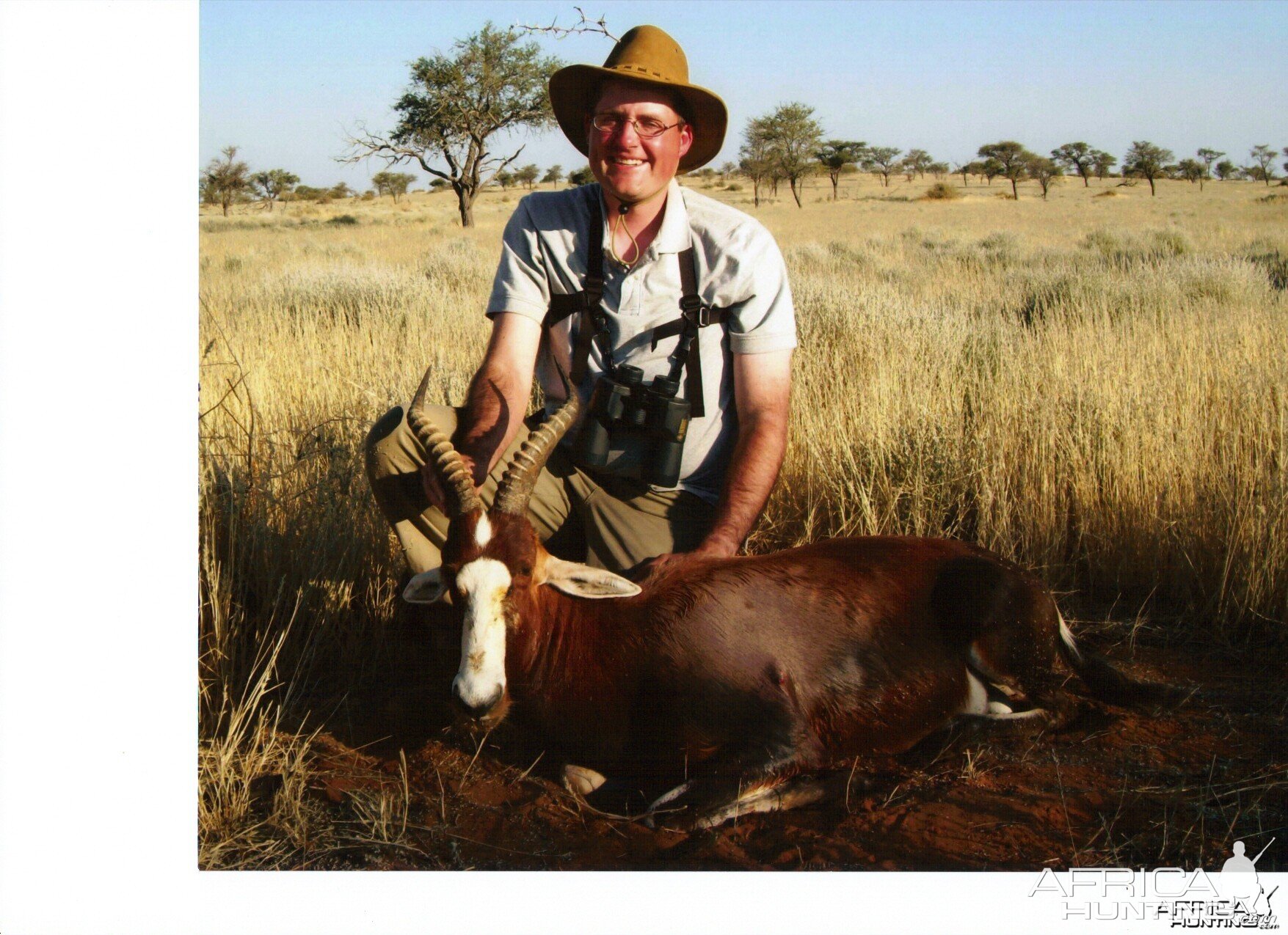 Blesbok Namibia