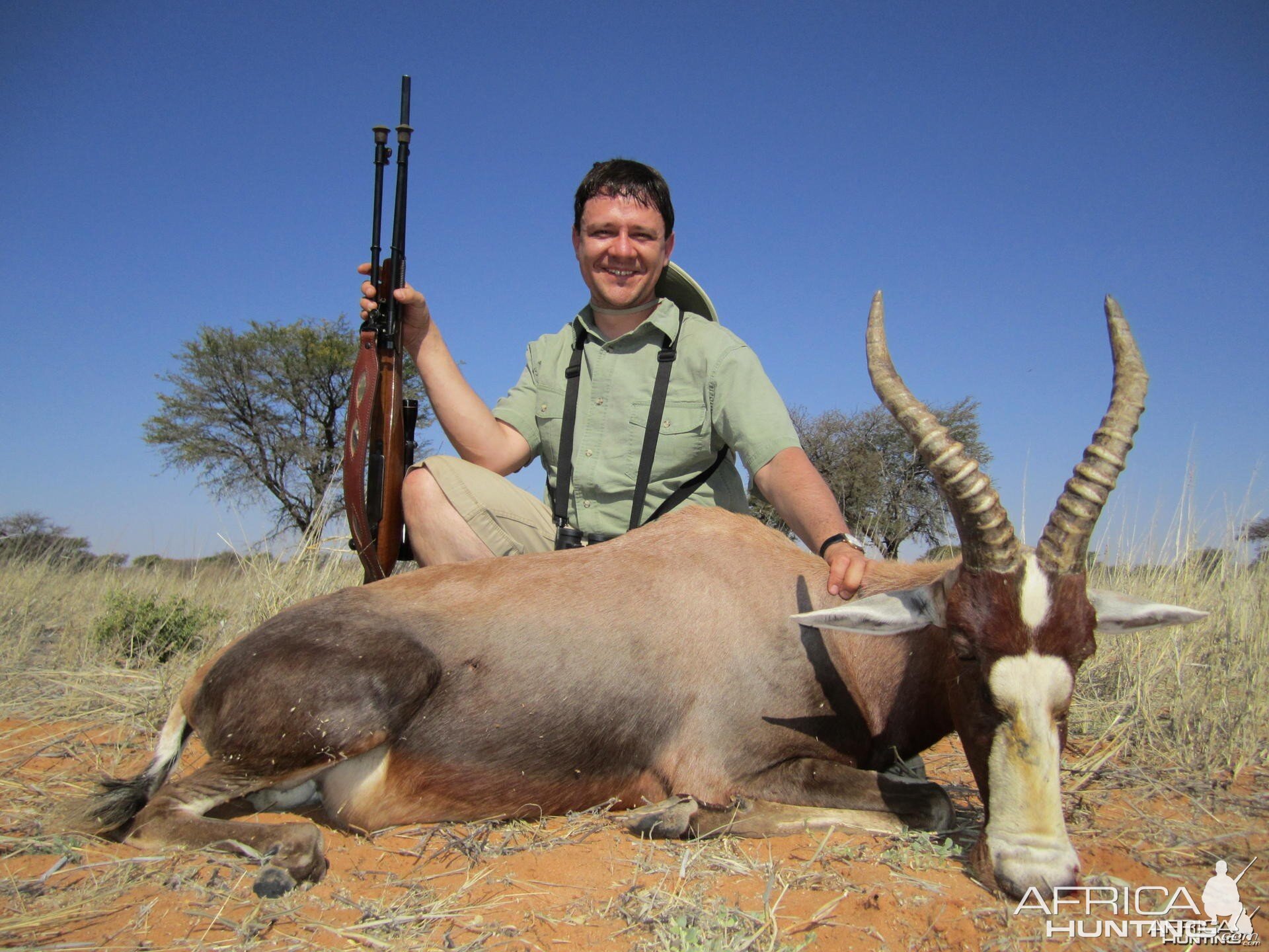 Blesbok Namibia