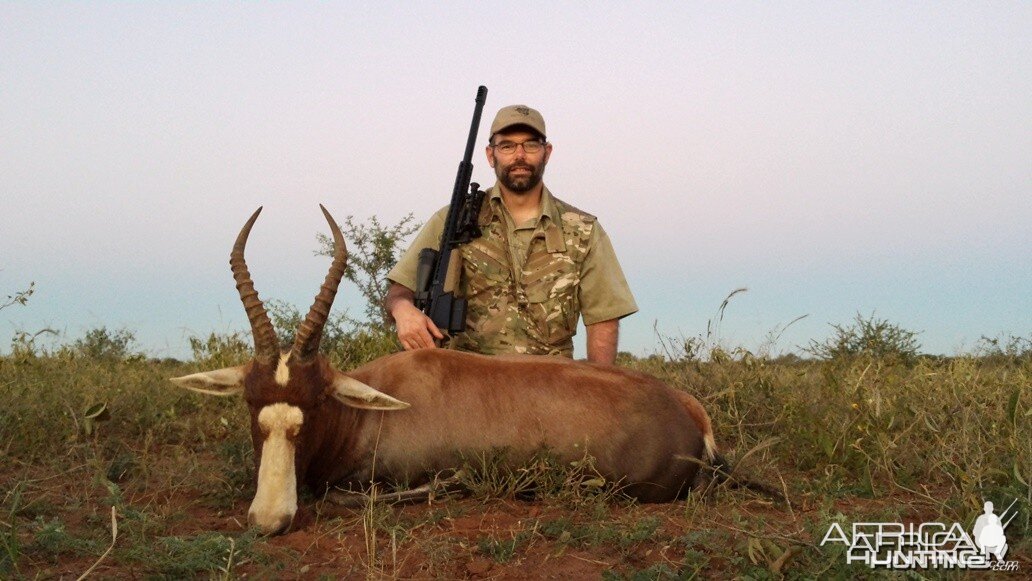 Blesbok RSA Limpopo 2014