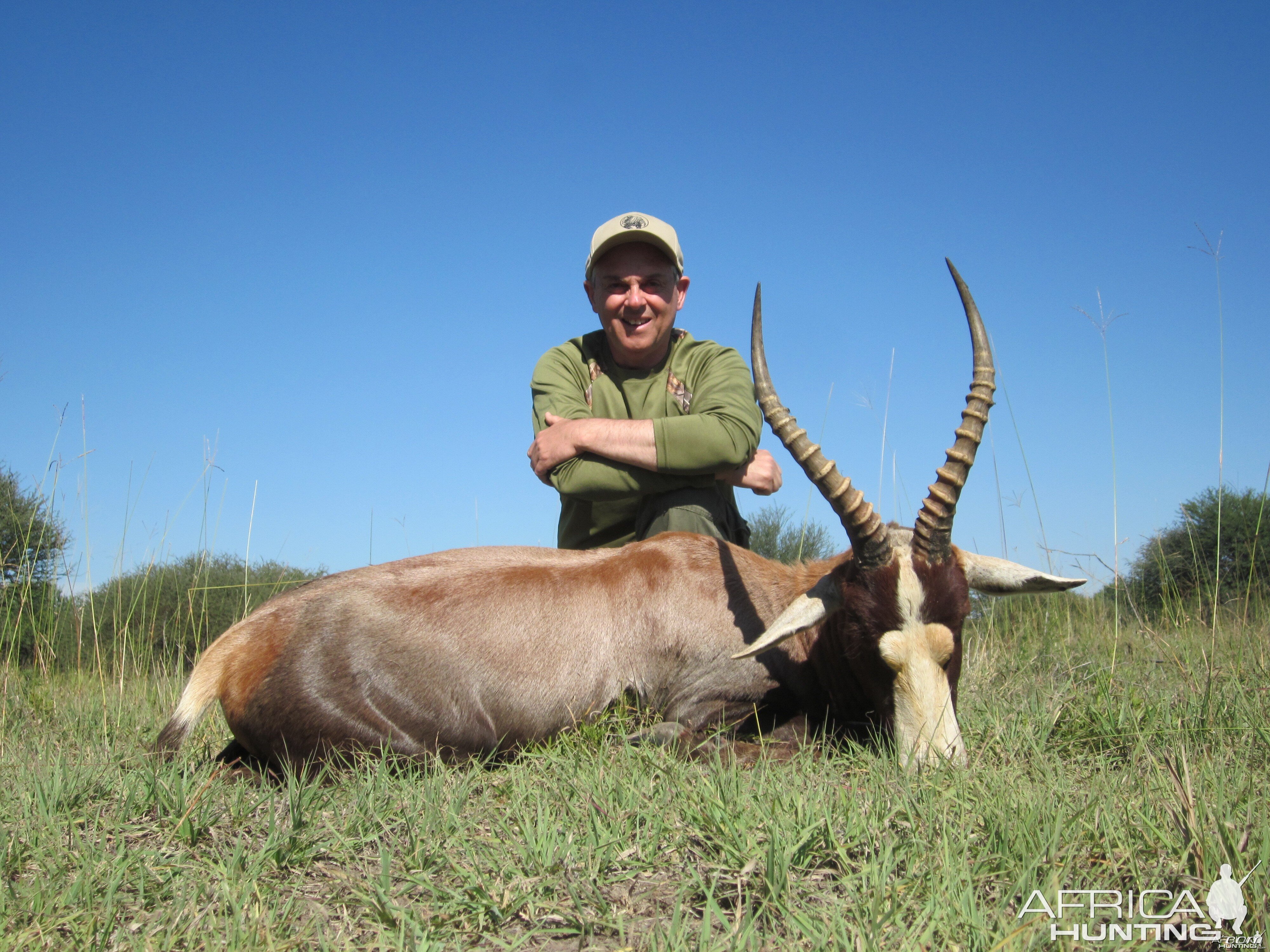 Blesbok RSA