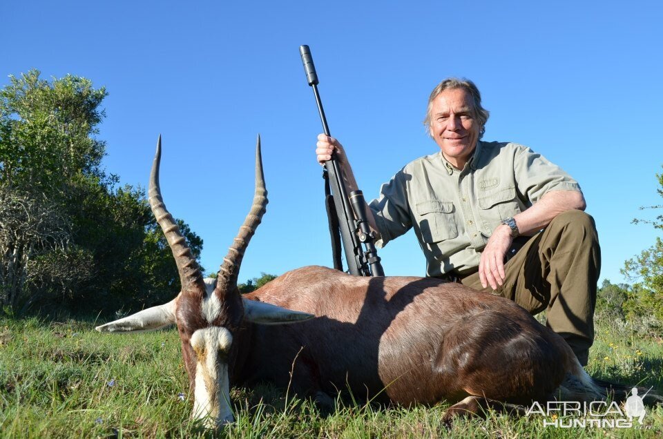 Blesbok South Africa