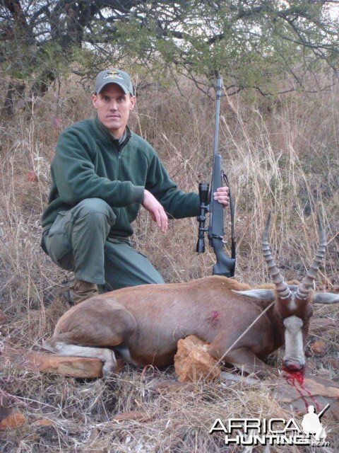 Blesbok South Africa