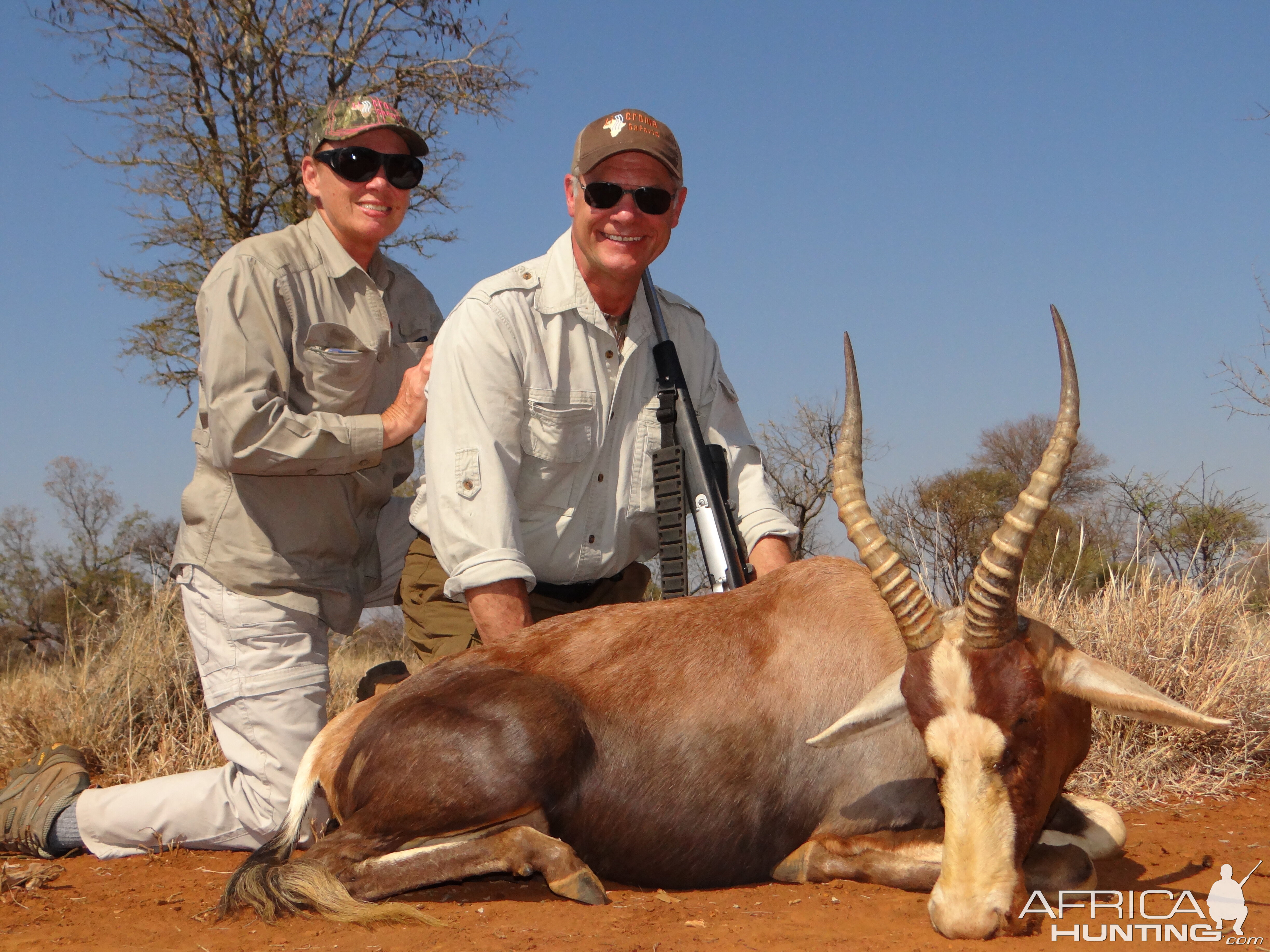 Blesbok with Limcroma Safaris