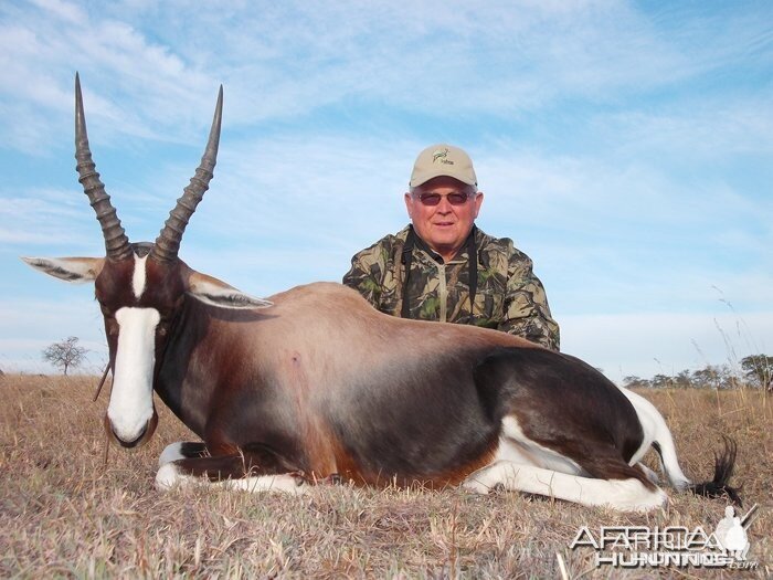 Blesbok