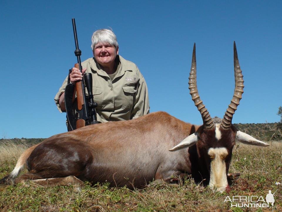 Blesbok