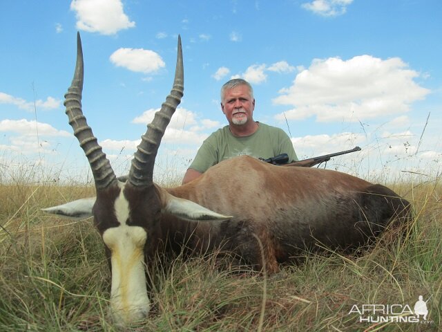 Blesbok