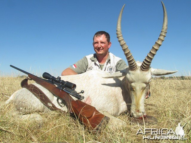 Blesbok