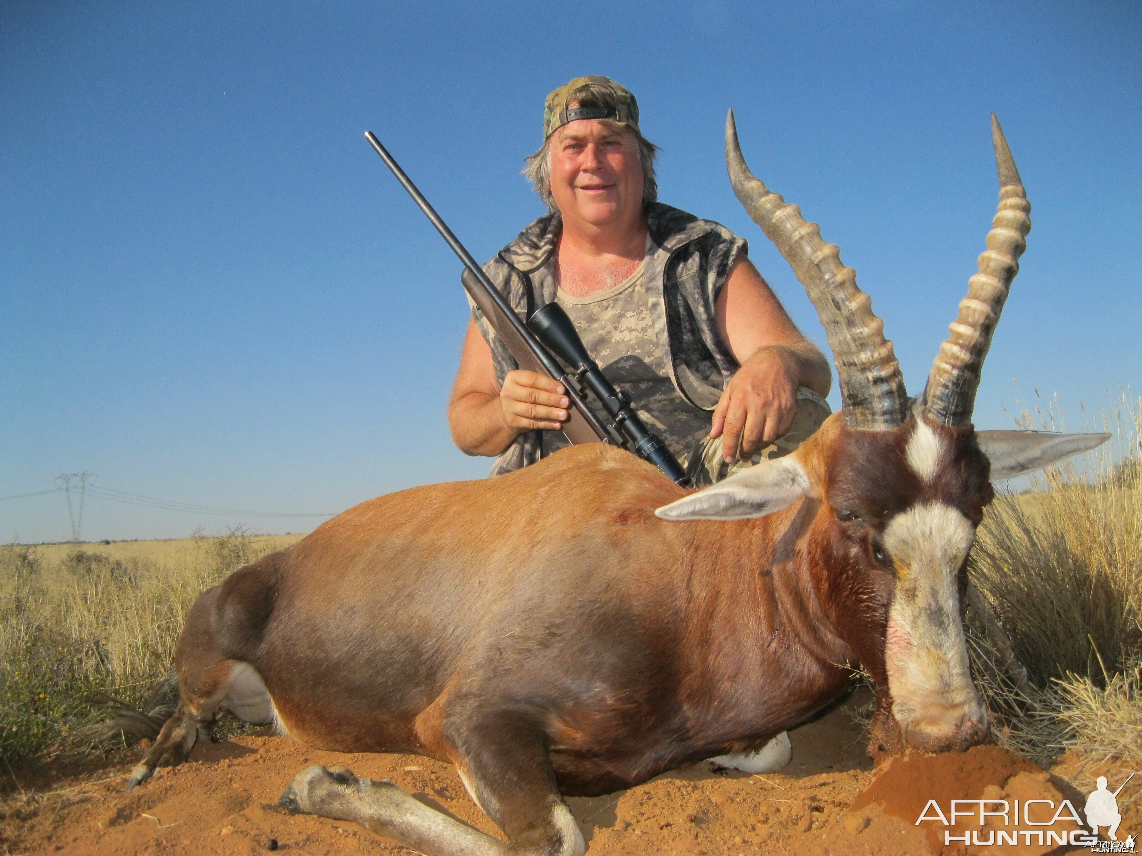 Blesbok