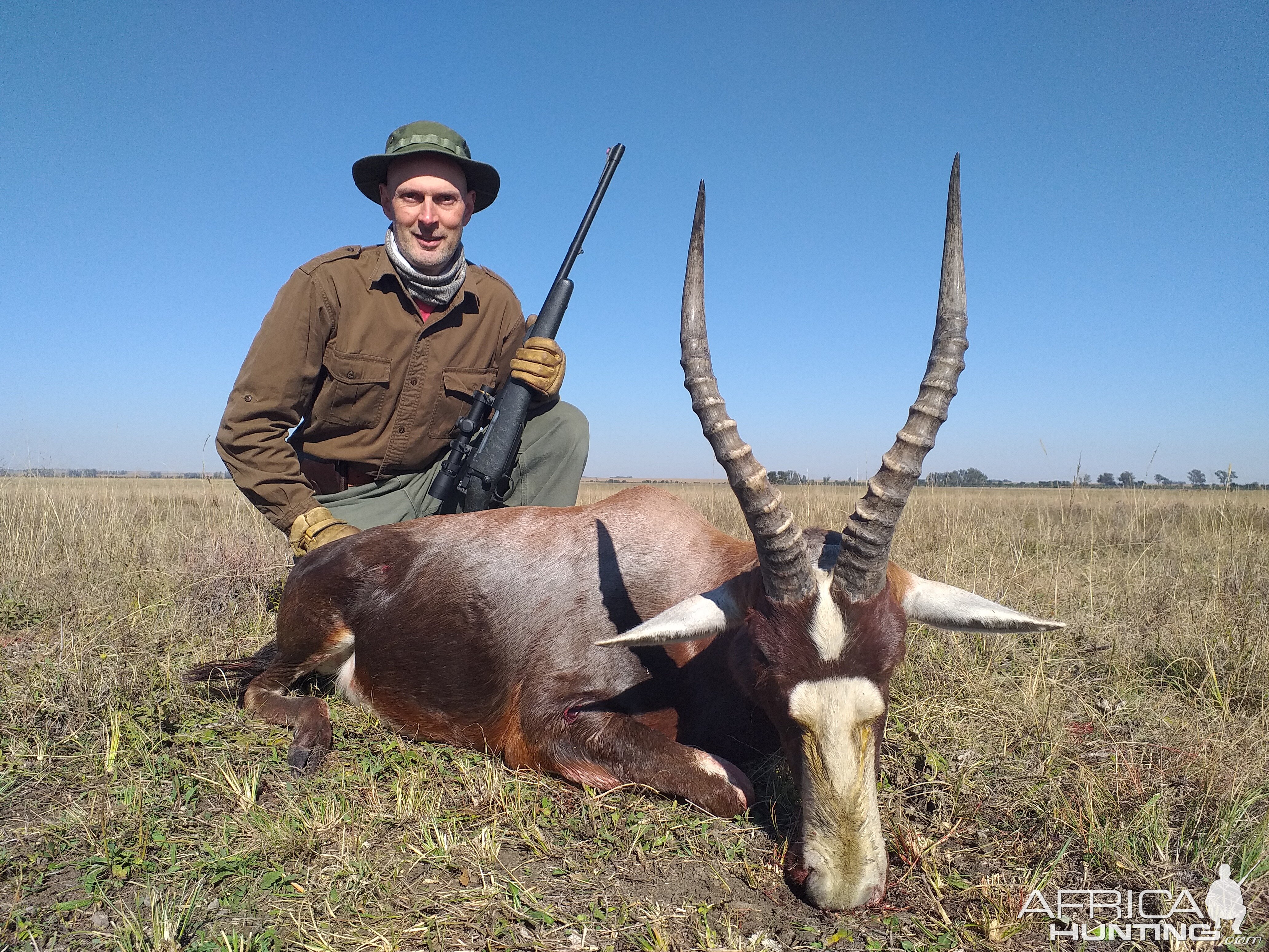 Blesbuck at Koppie Dam Nature Reserve