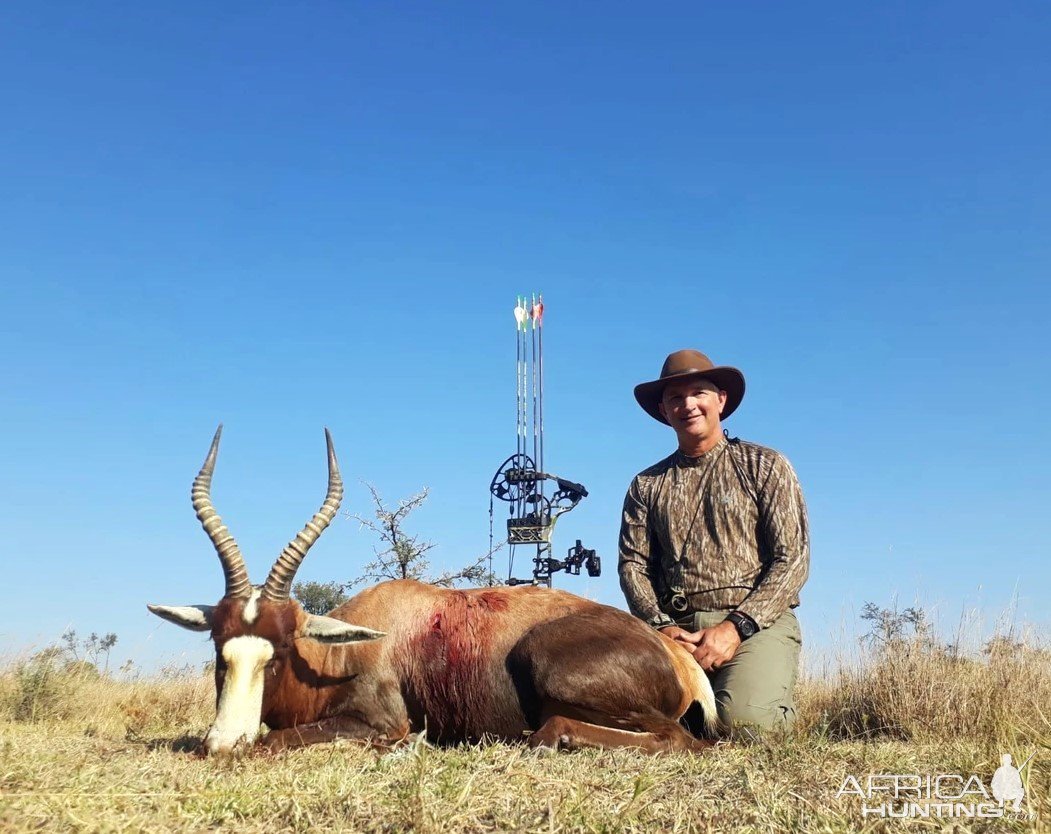 Blesbuck Bow Hunt North Limpopo South Africa