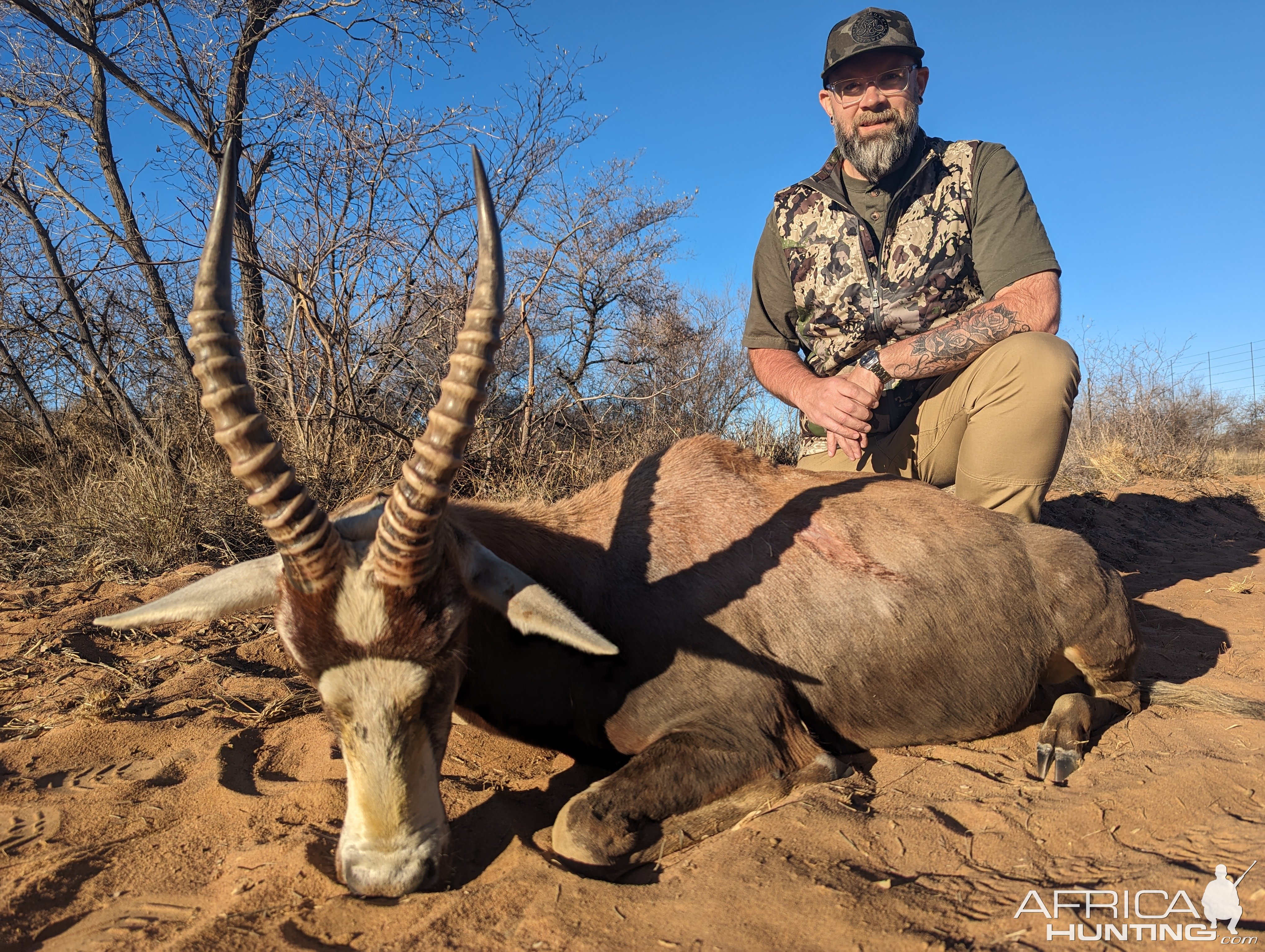 Blesbuck Hunt South Africa