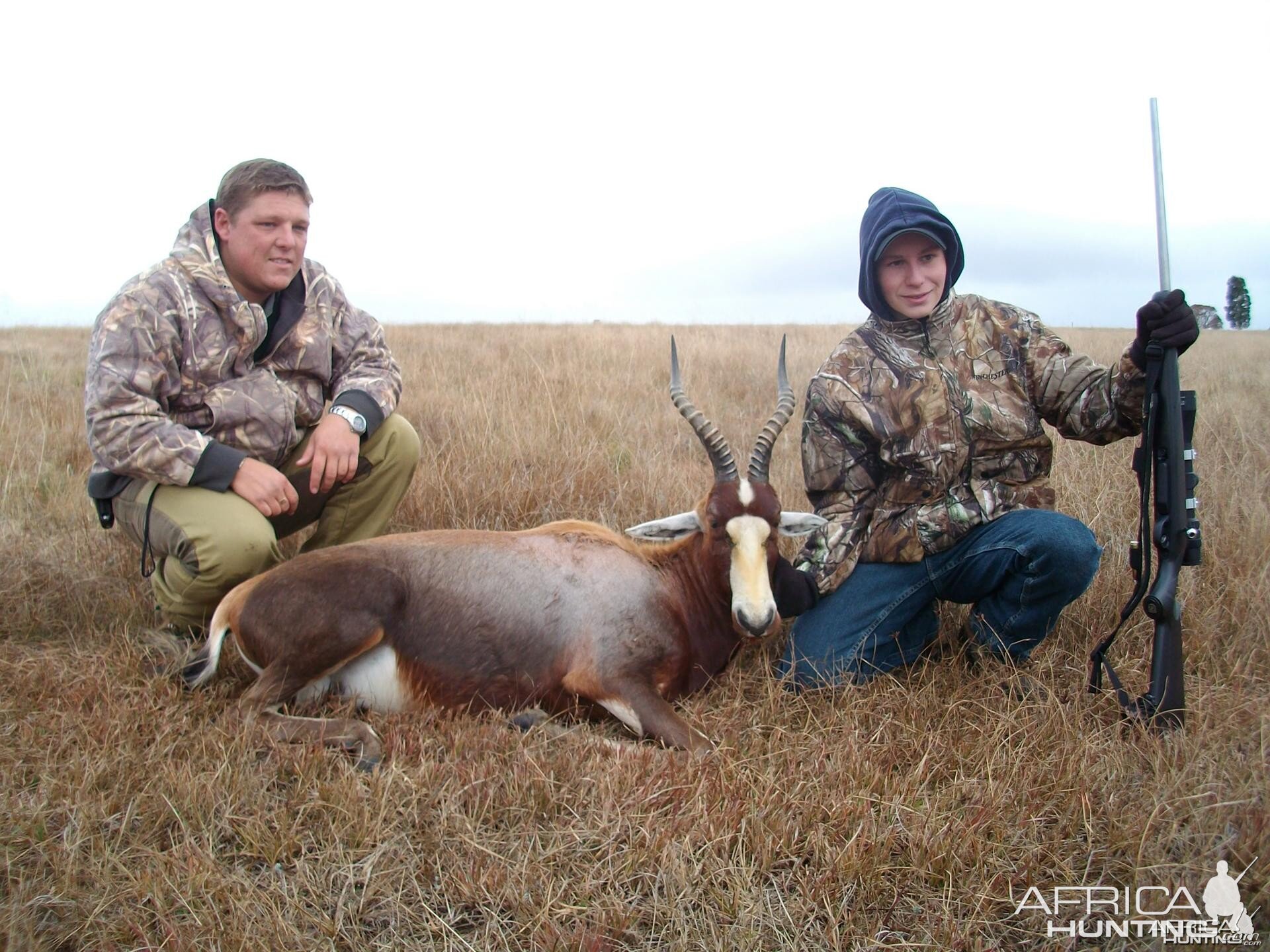 Blesbuck hunted in Limpopo SA