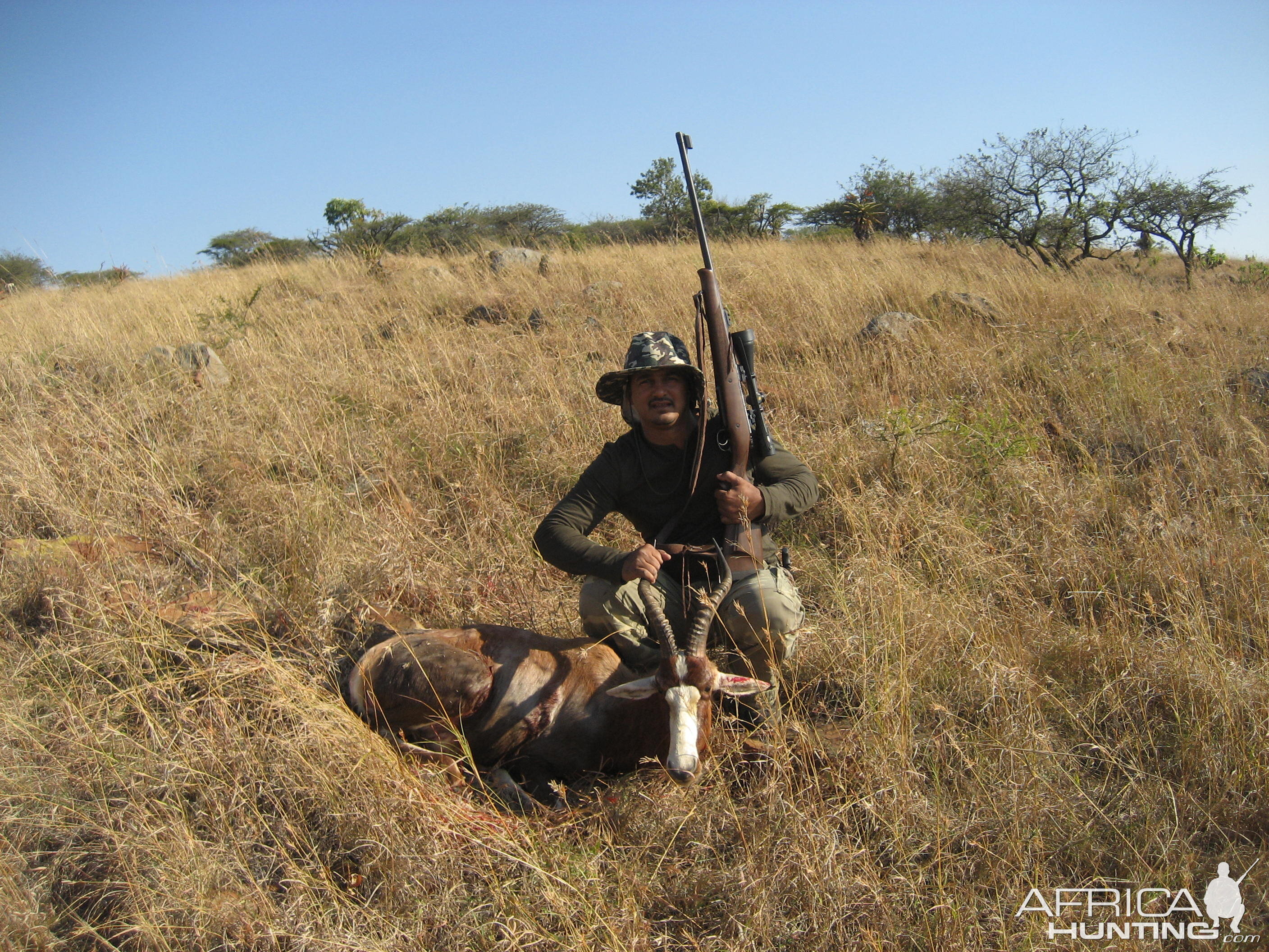 Blesbuck -Vryheid KZN