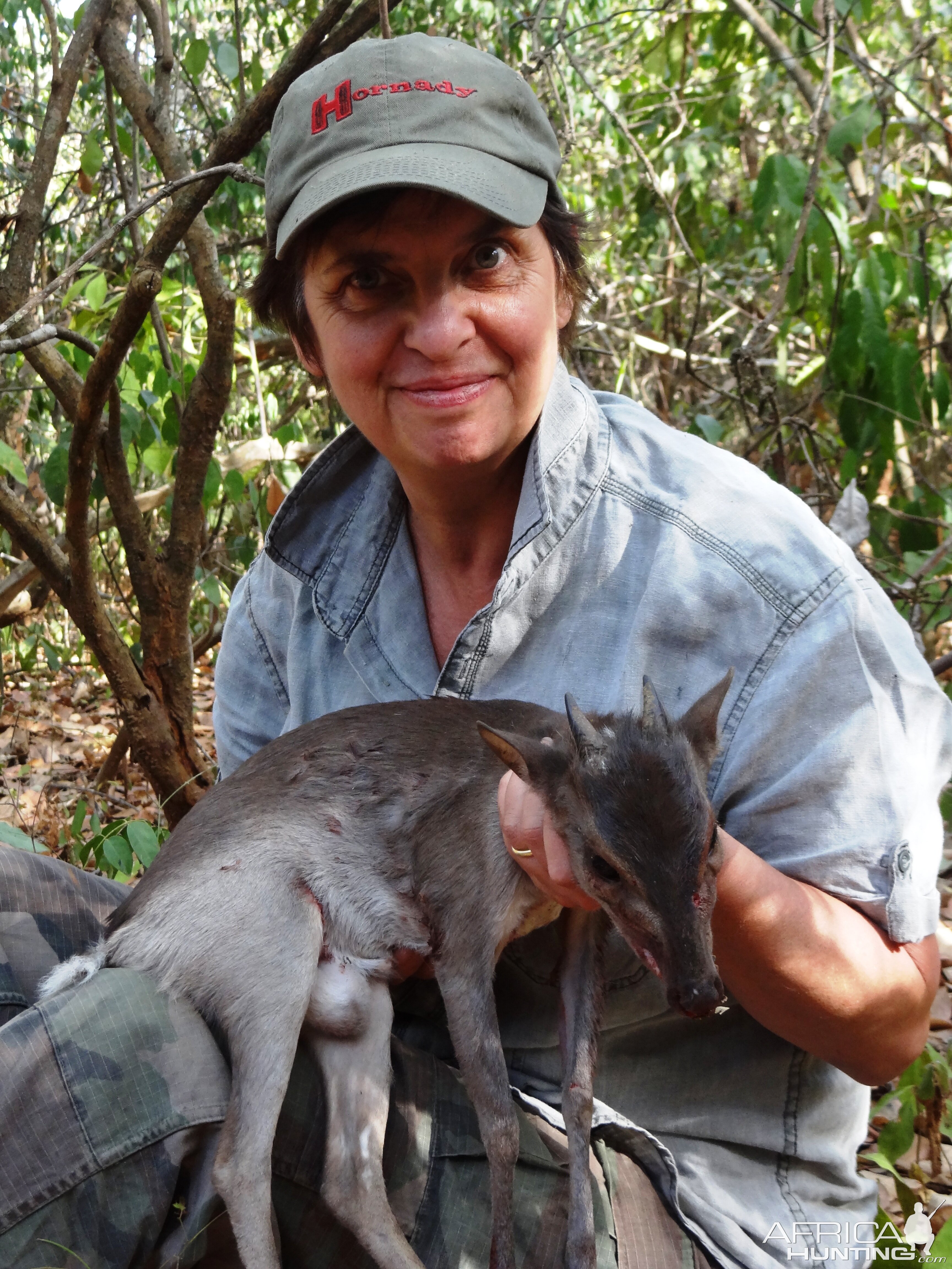 Bleu duiker