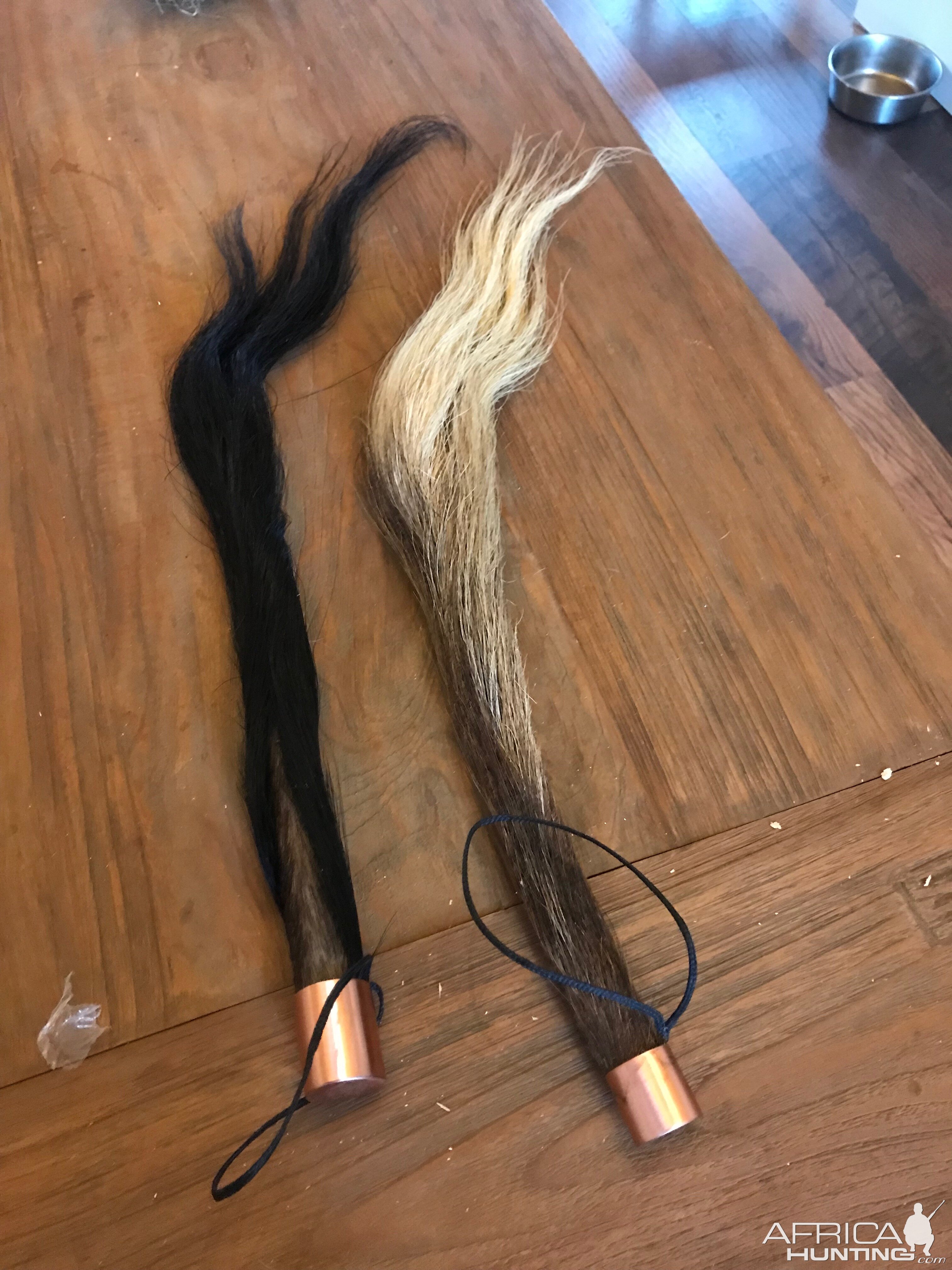 Blue & Black Wildebeest Tails Taxidermy