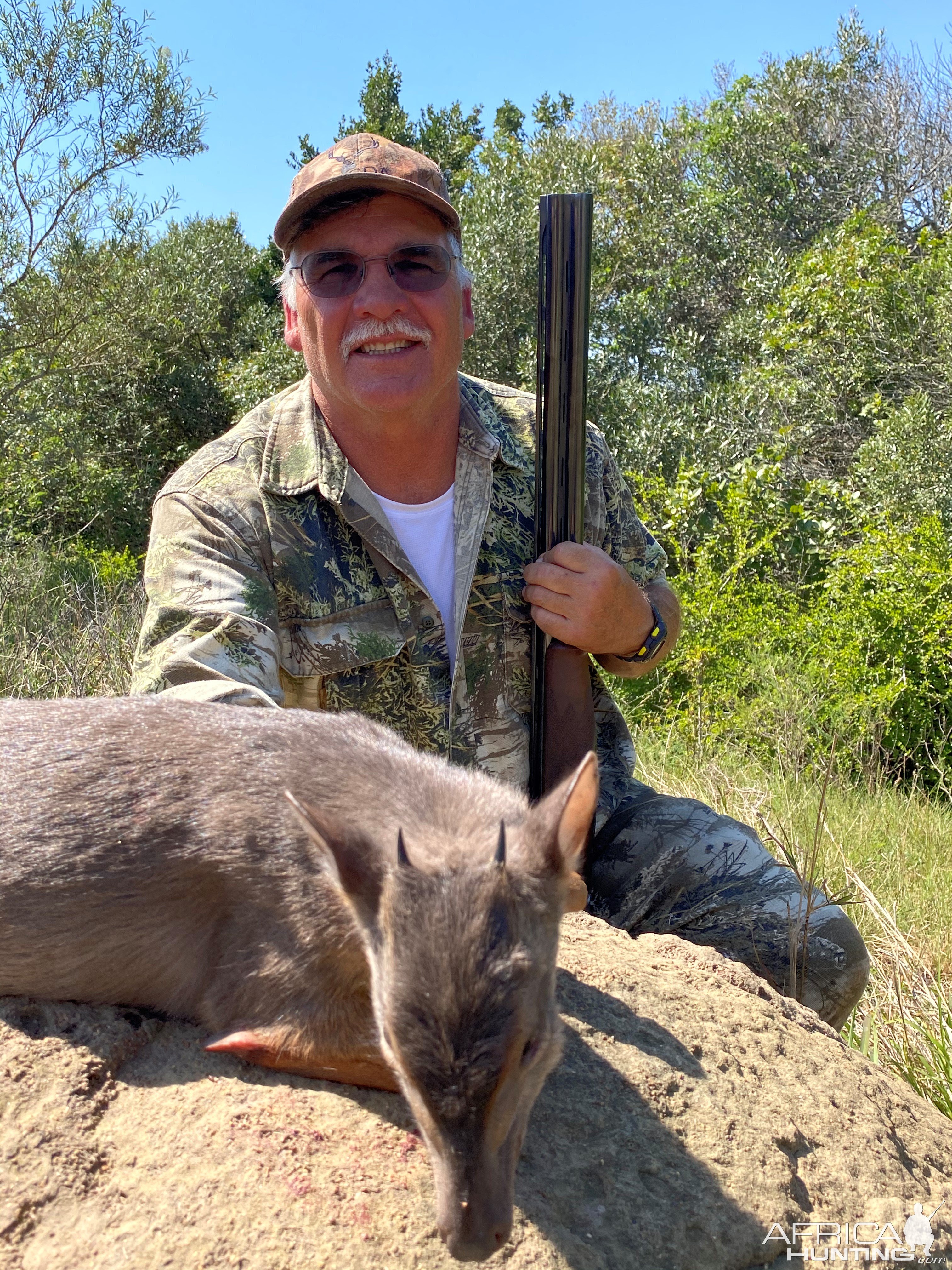 Blue Duiker Hunt Eastern Cape South Africa