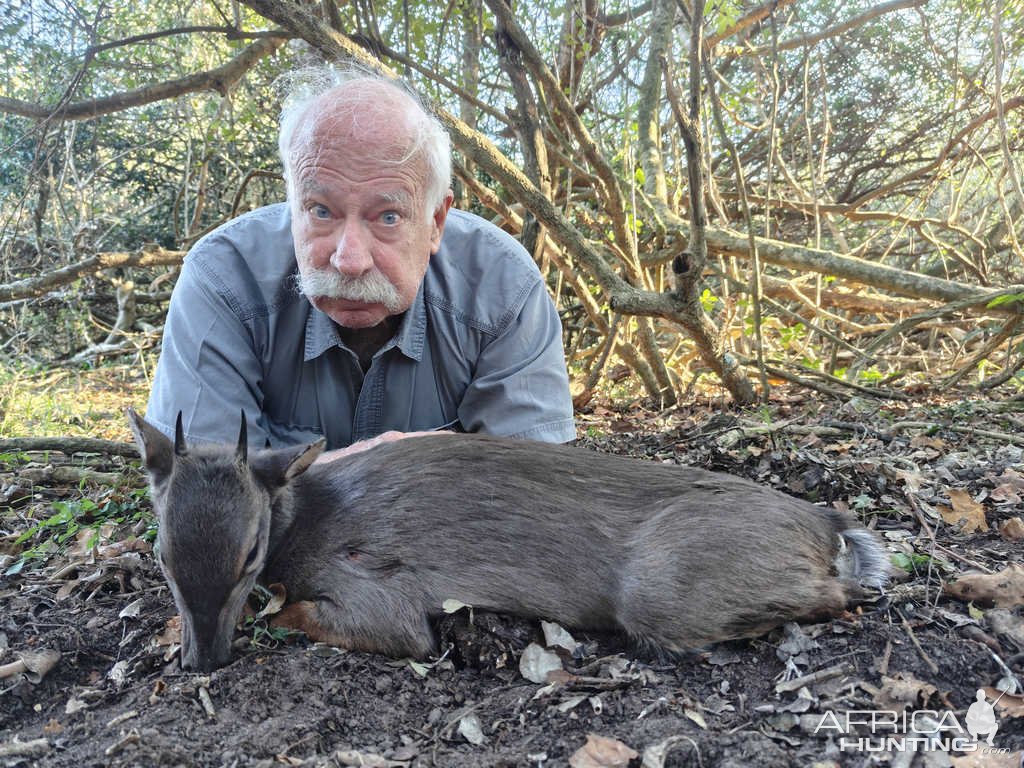 Blue Duiker Hunt Eastern Cape South Africa