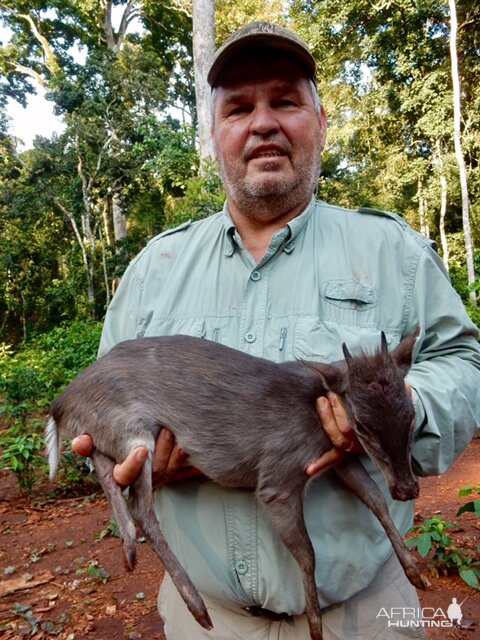 Blue Duiker hunt in the Congo with Christophe Morio