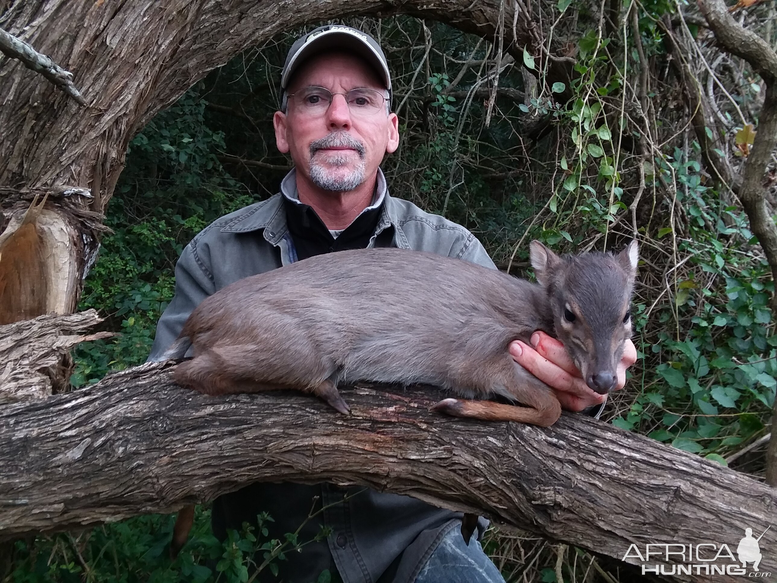 Blue Duiker Hunt South Africa