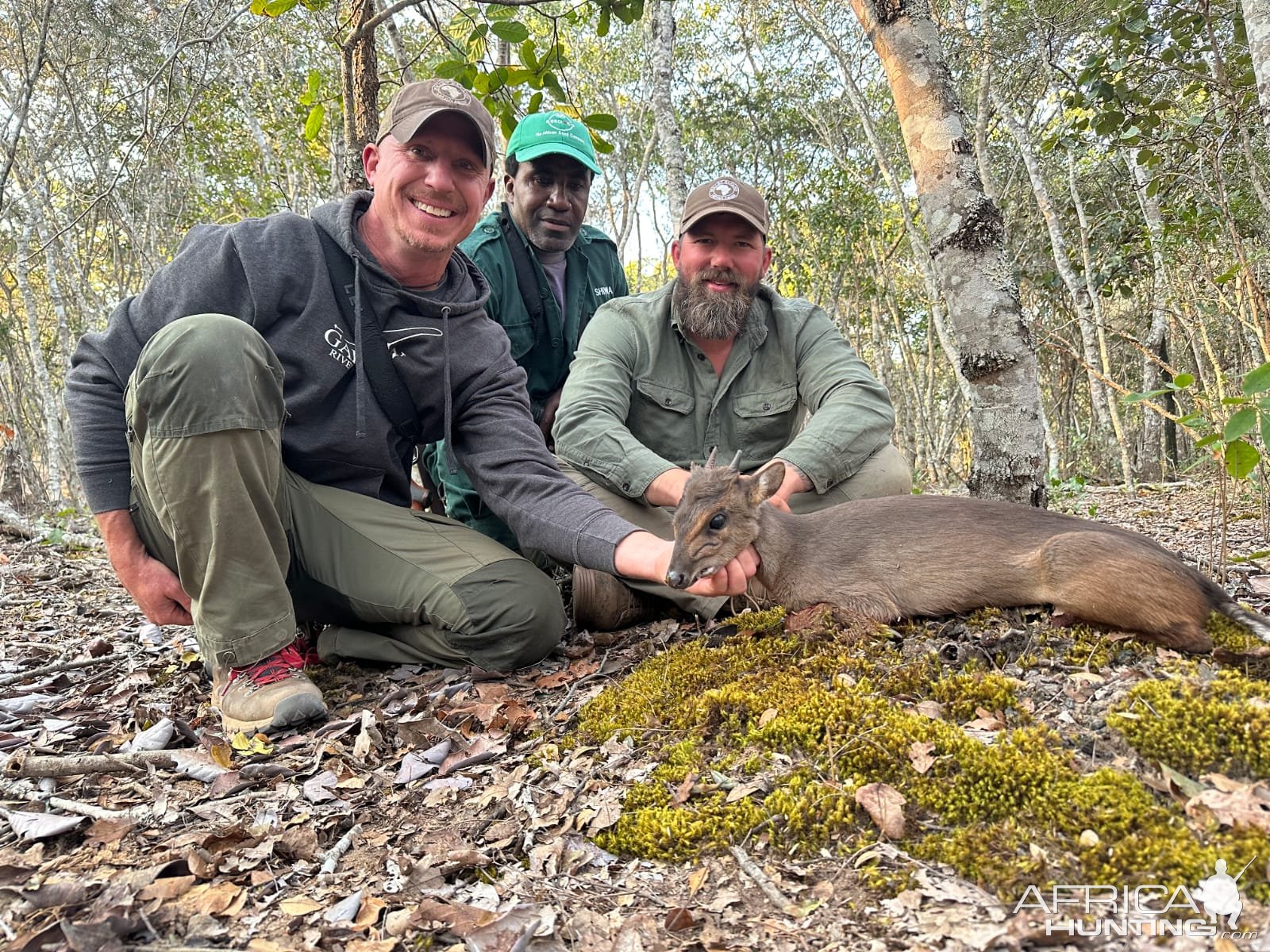 Blue Duiker Hunt Zambia