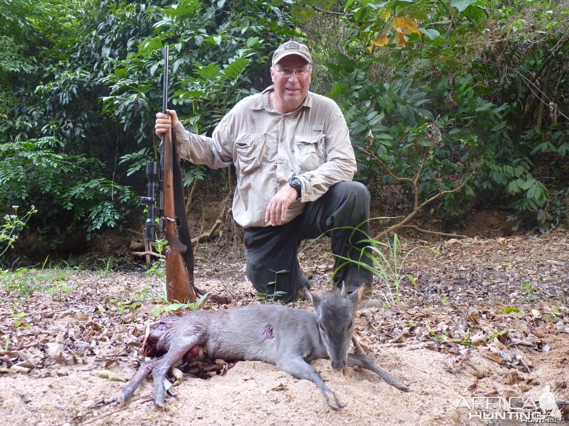 Blue Duiker hunted in CAR