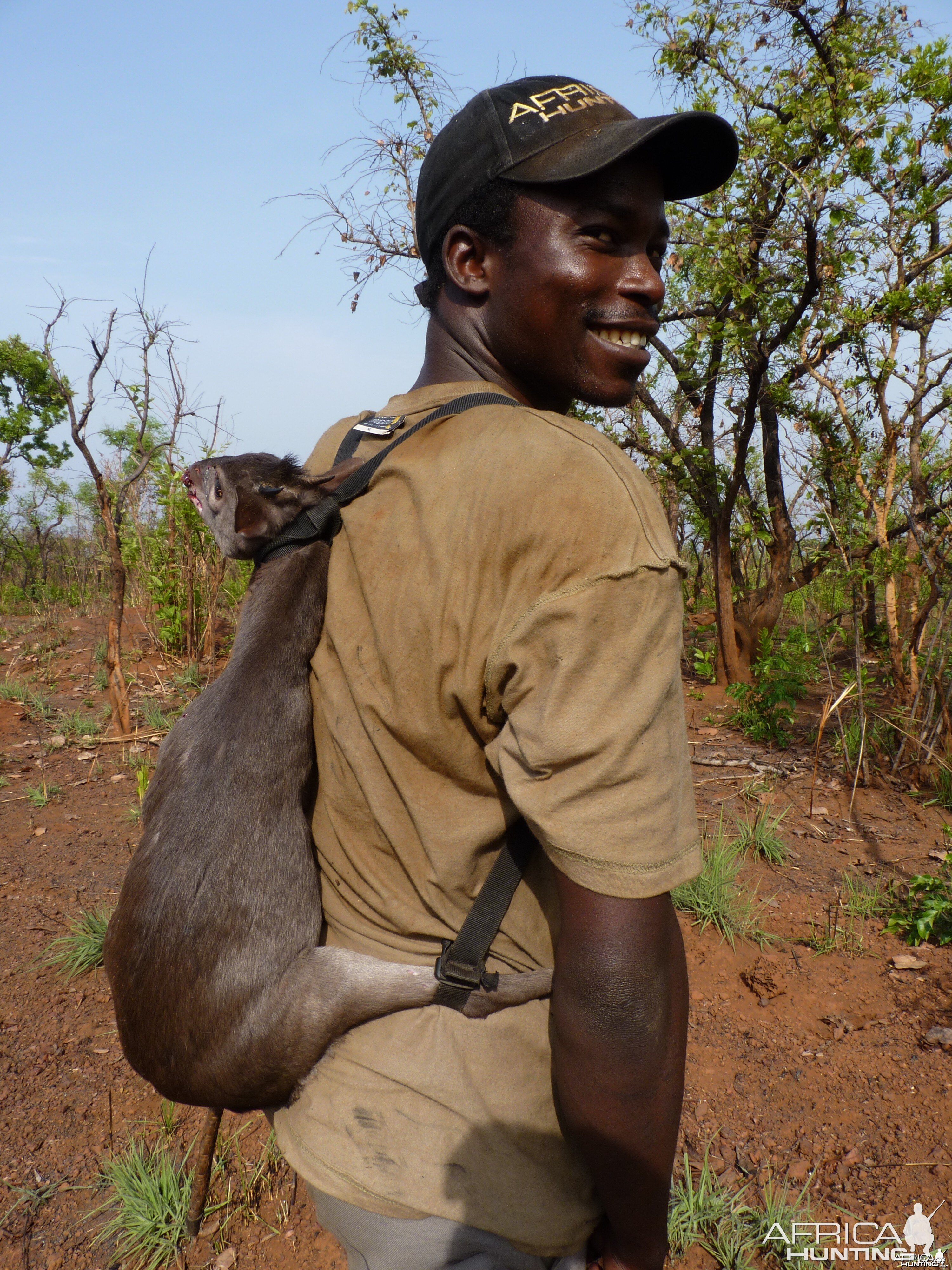 Blue Duiker hunted in CAR