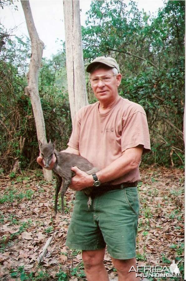 Blue Duiker hunted in Central Africa with Club Faune