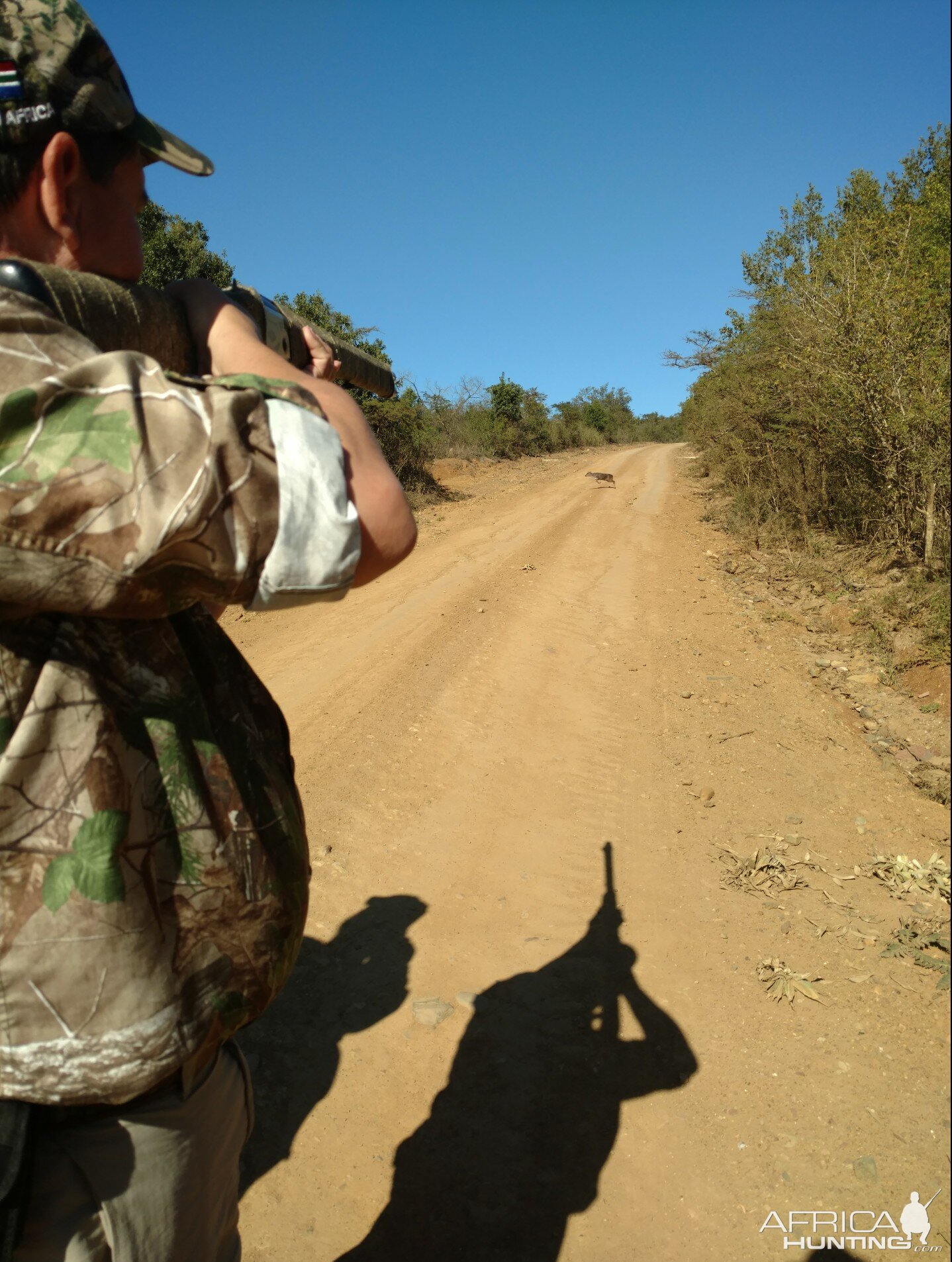 Blue Duiker Hunting South Africa