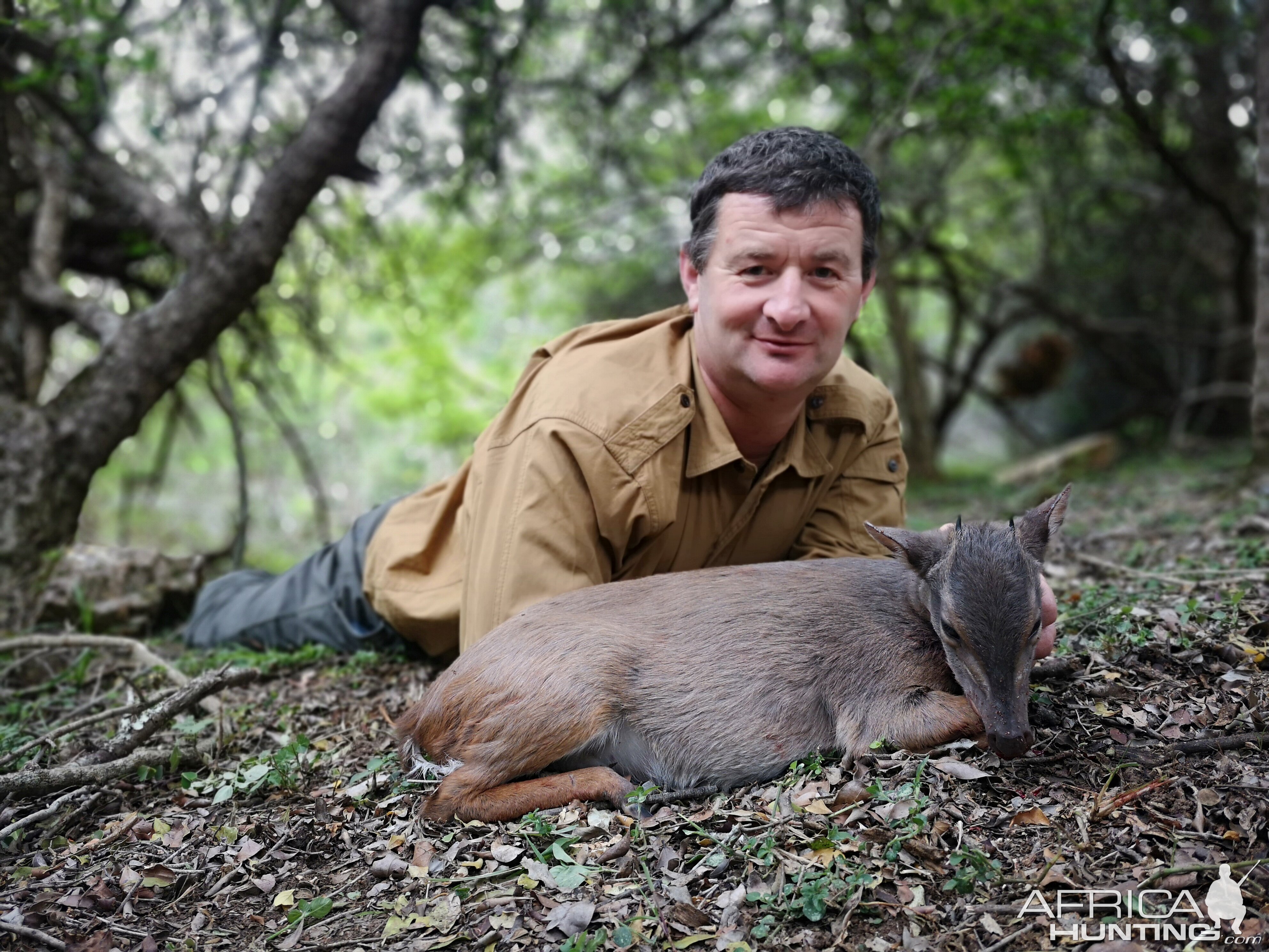 Blue Duiker Hunting South Africa