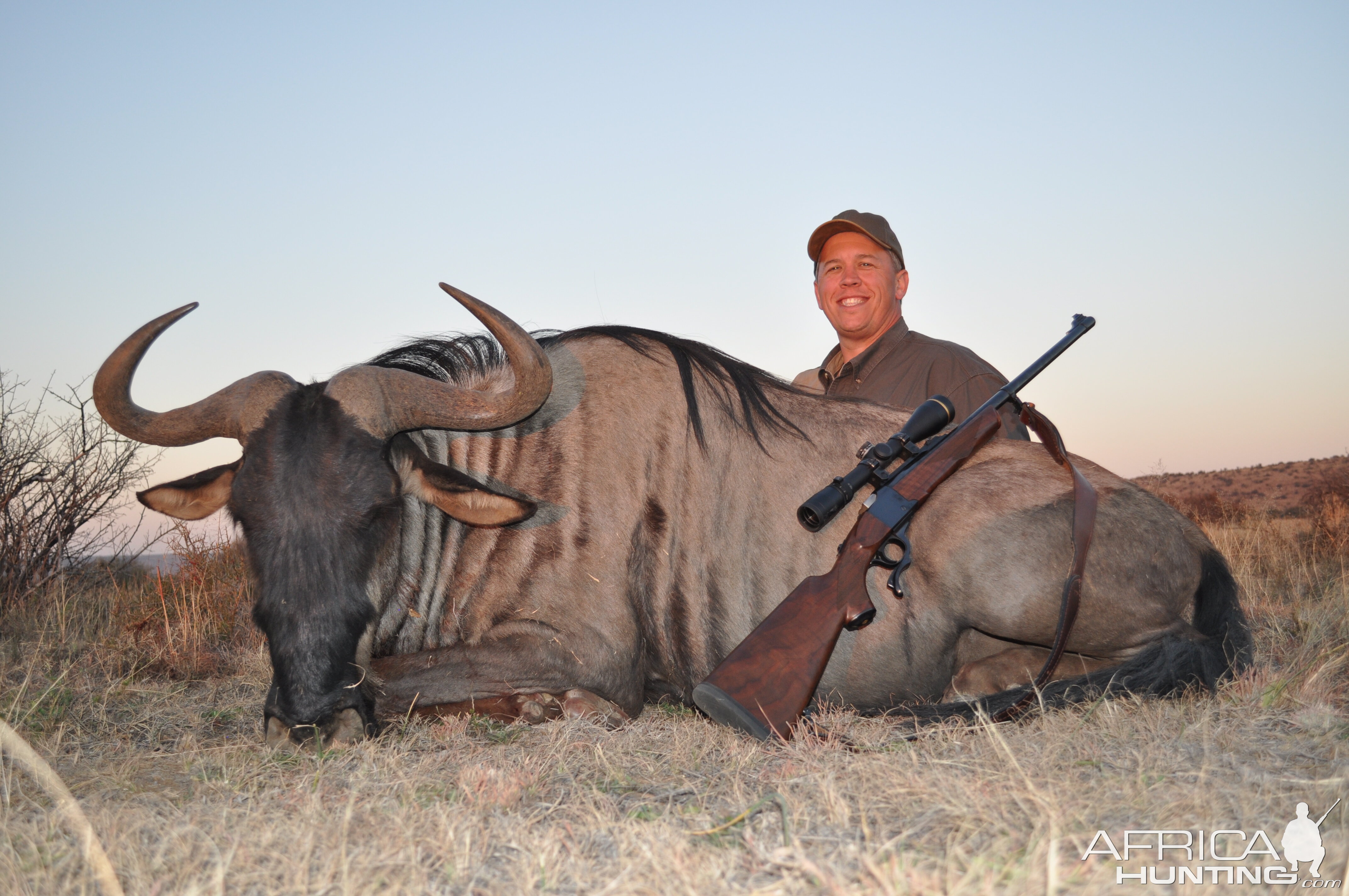 Blue Wildebeest (A.K.A. wife's rug) with White Lion Safaris.