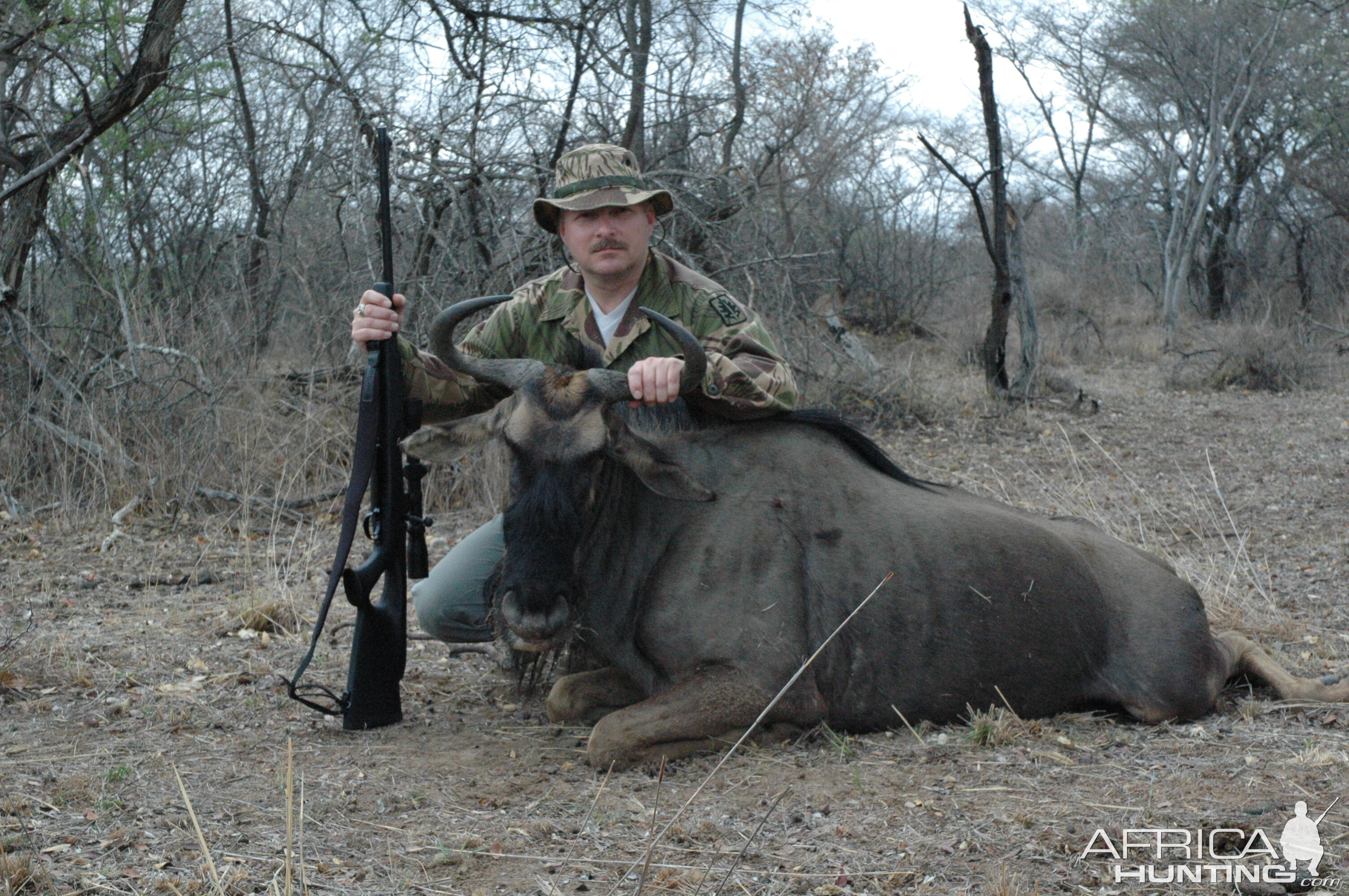 Blue Wildebeest Africa September 2007 Hunt