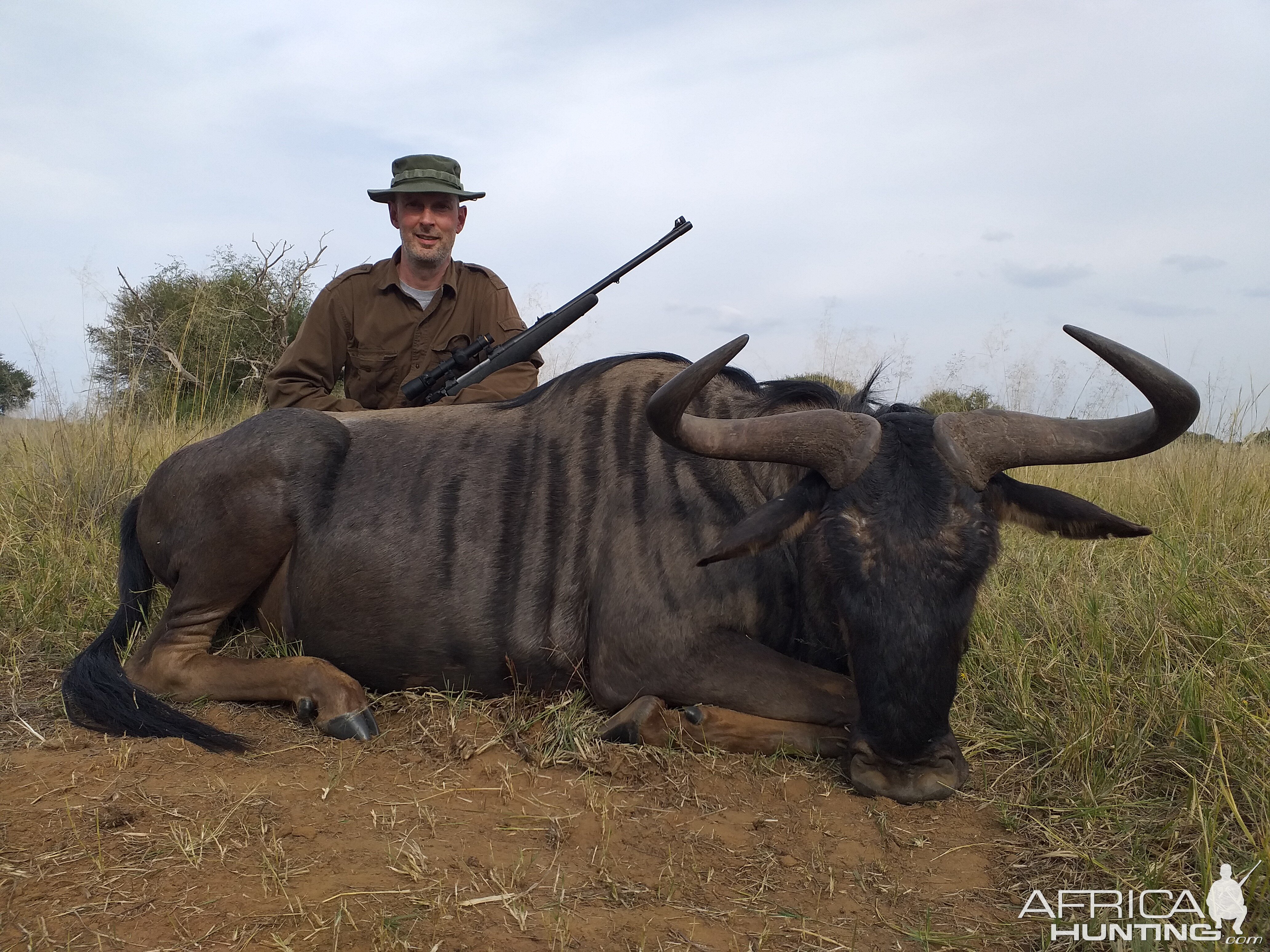 Blue Wildebeest at Sandveld Nature Reserve