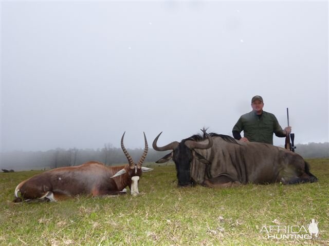 Blue Wildebeest & Blesbok