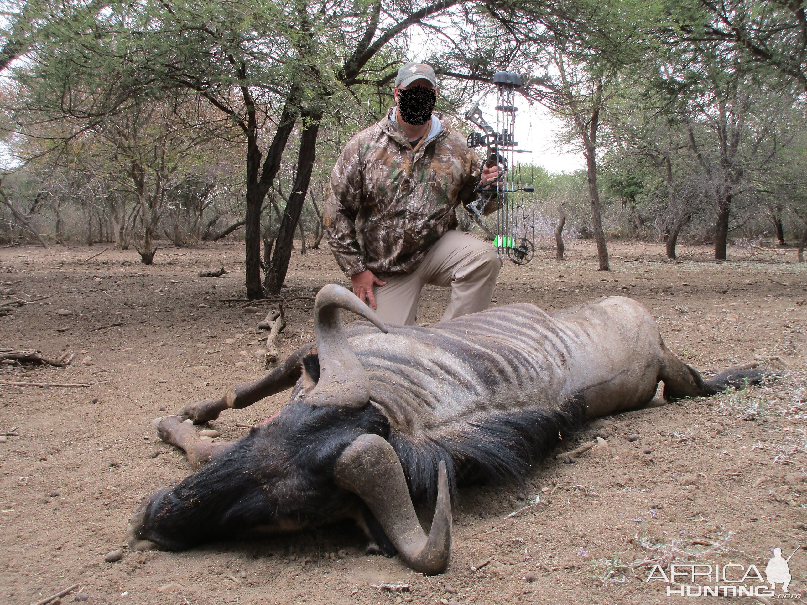 Blue Wildebeest Bow Hunt in South Africa