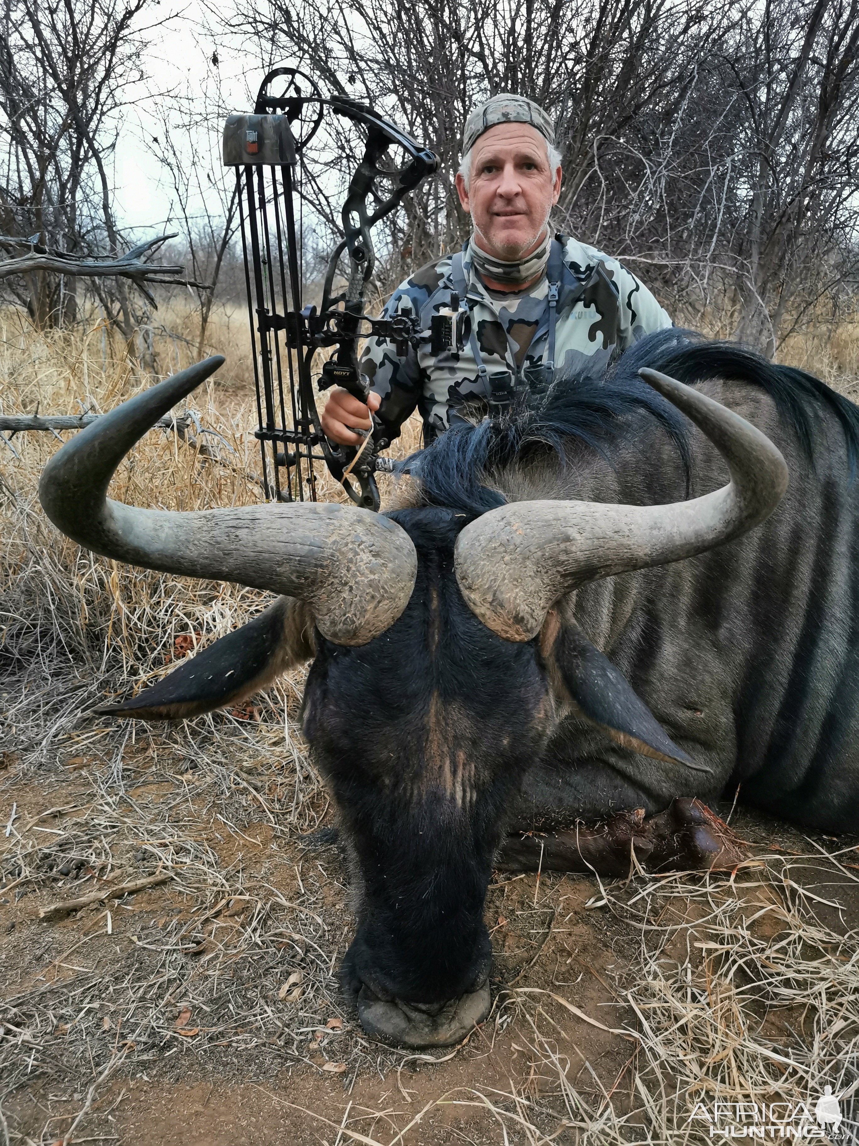 Blue Wildebeest Bow Hunt South Africa