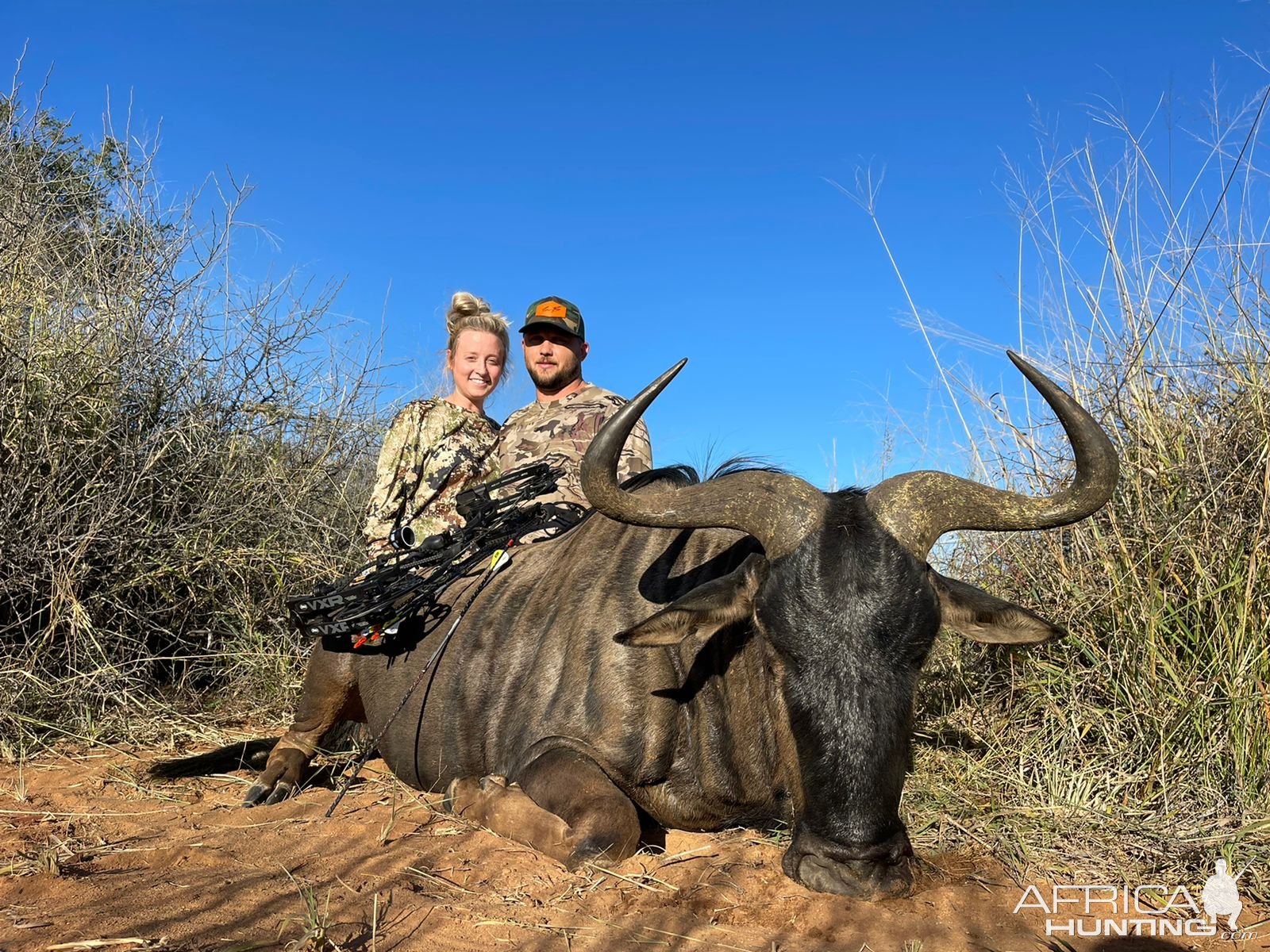 Blue Wildebeest Bow Hunt South Africa